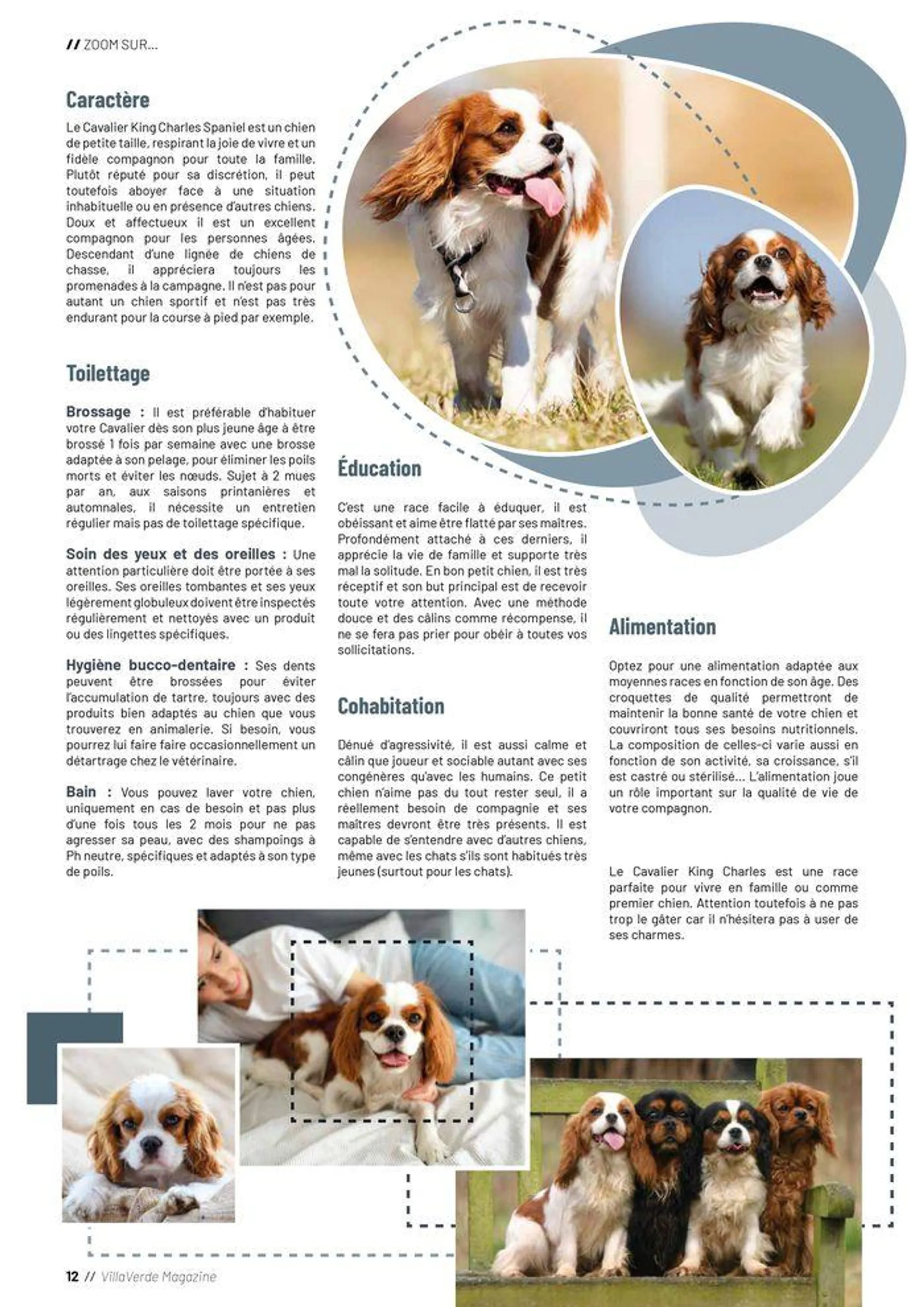 VillaVerde Animalerie 2024 du 18 juin au 31 décembre 2024 - Catalogue page 12