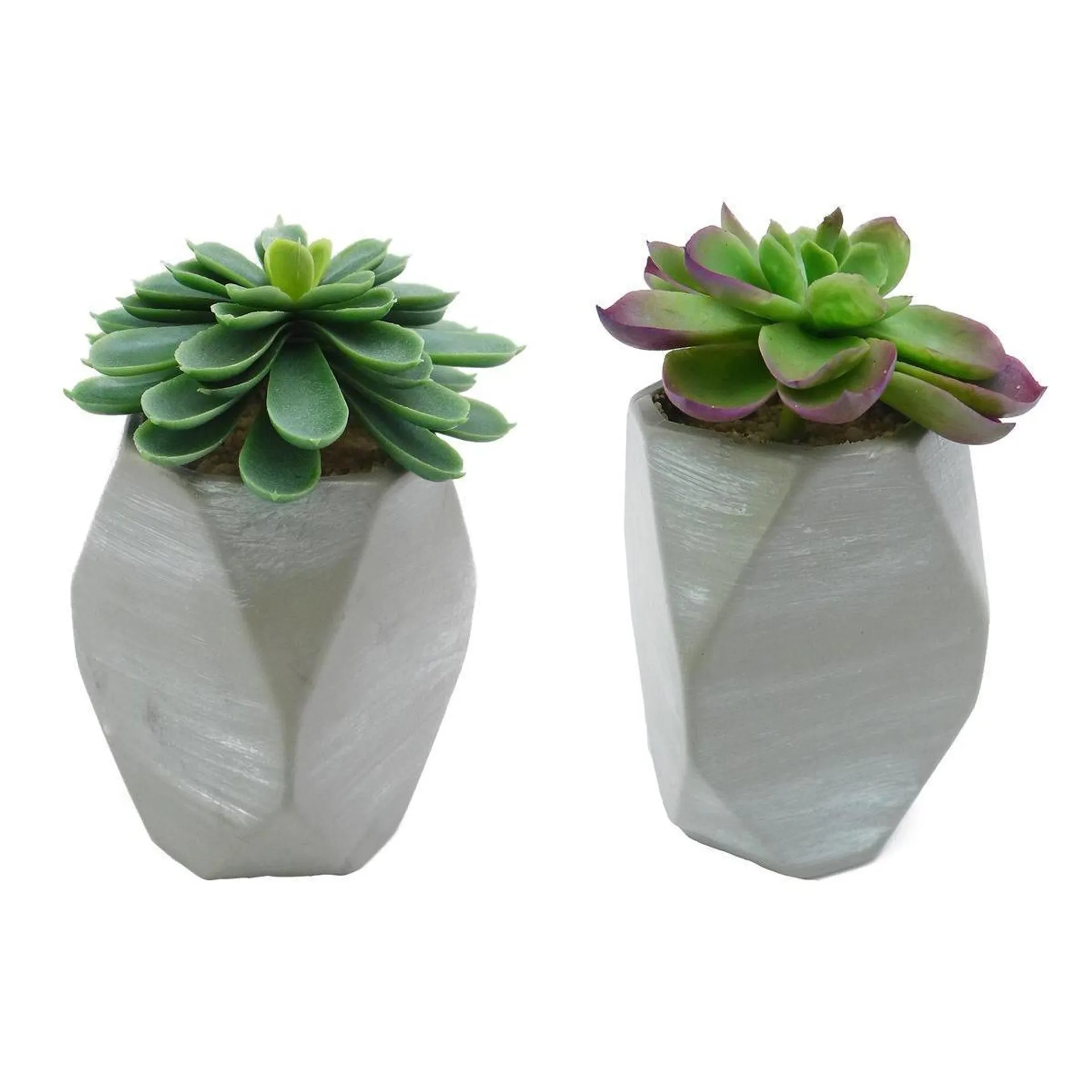 Succulente en pot graphique - H 15 cm - Différents modèles