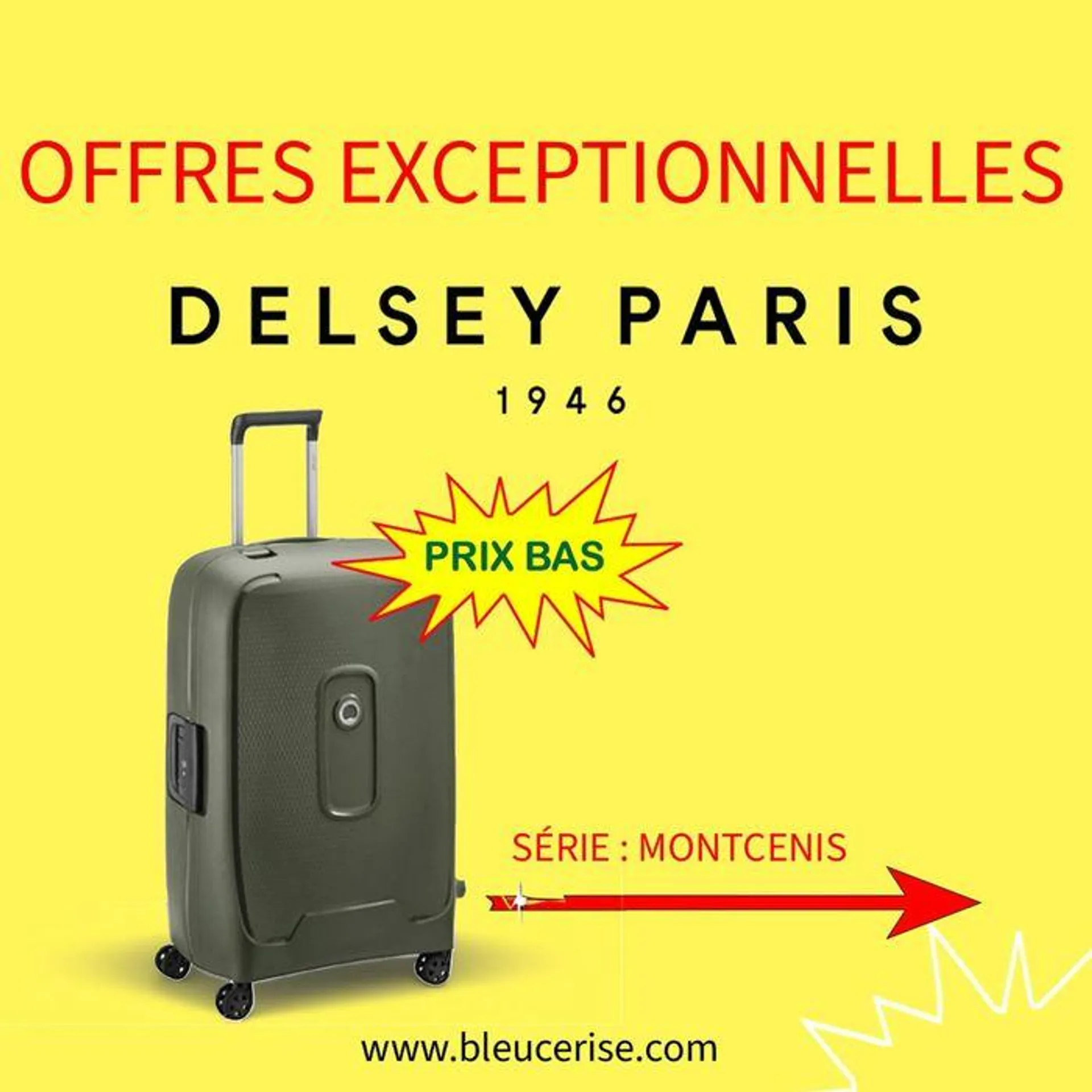 BAGAGERIE DELSEY MONTCENIS À PRIX EXCEPTIONNEL  - 1