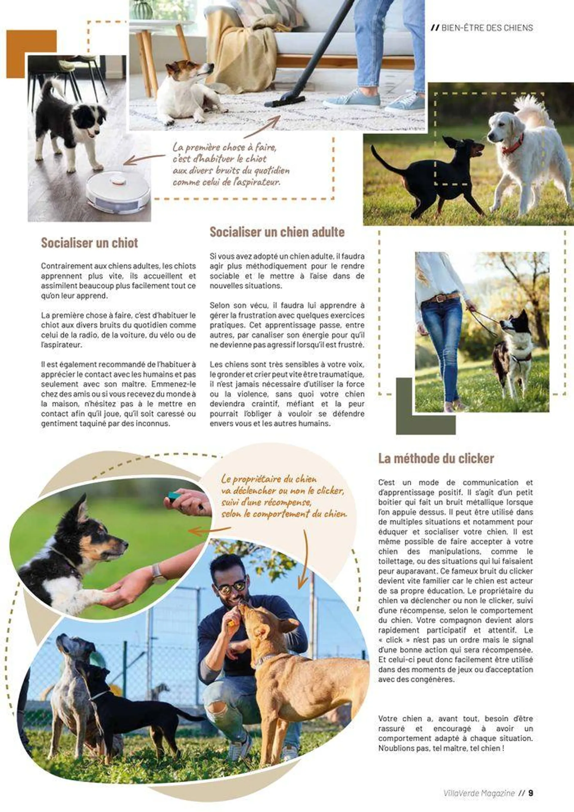 VillaVerde Animalerie 2024 du 18 juin au 31 décembre 2024 - Catalogue page 9