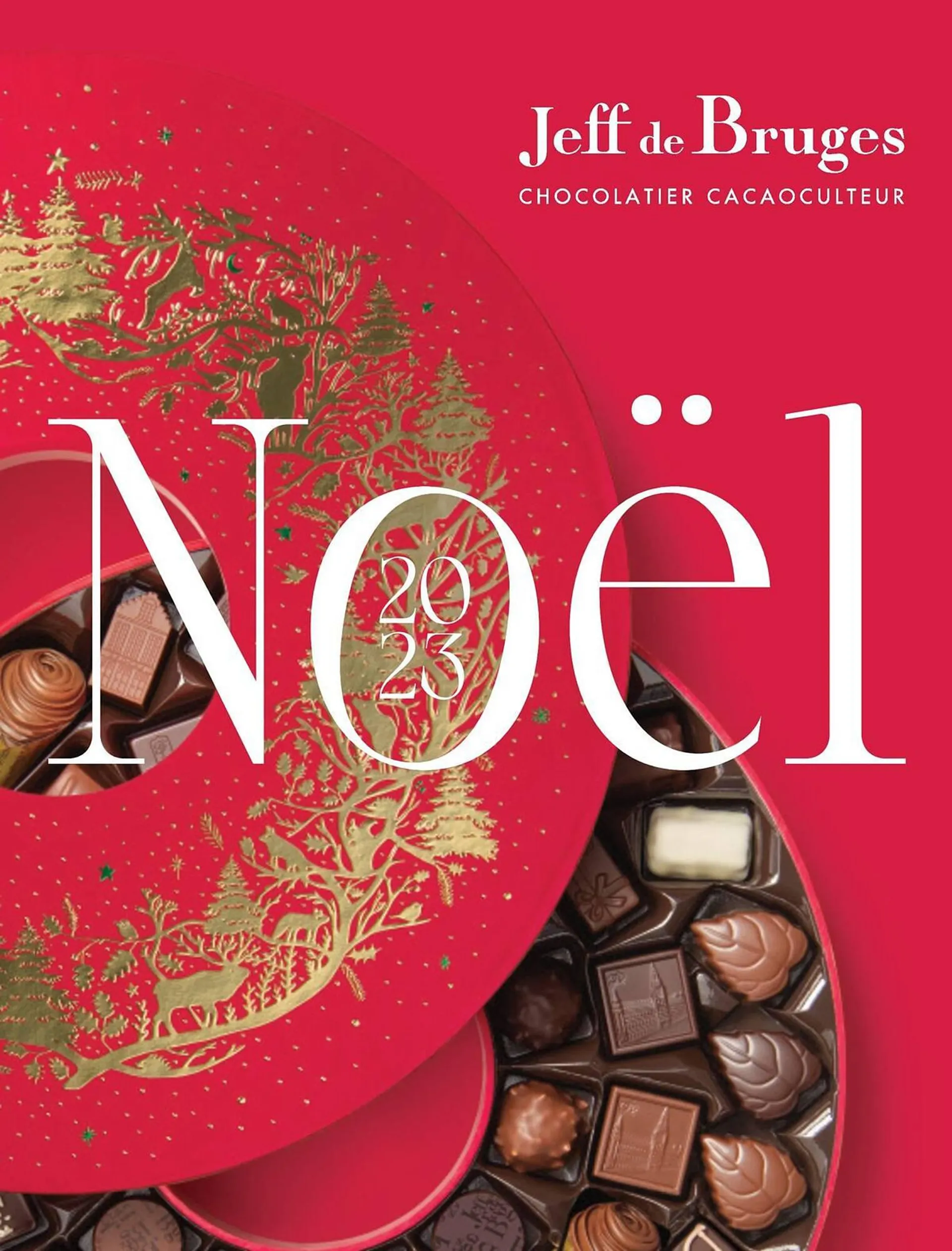 Sélection pour les enfants, les délicieux chocolats à offrir aux familles à  noël - JEFF DE BRUGES