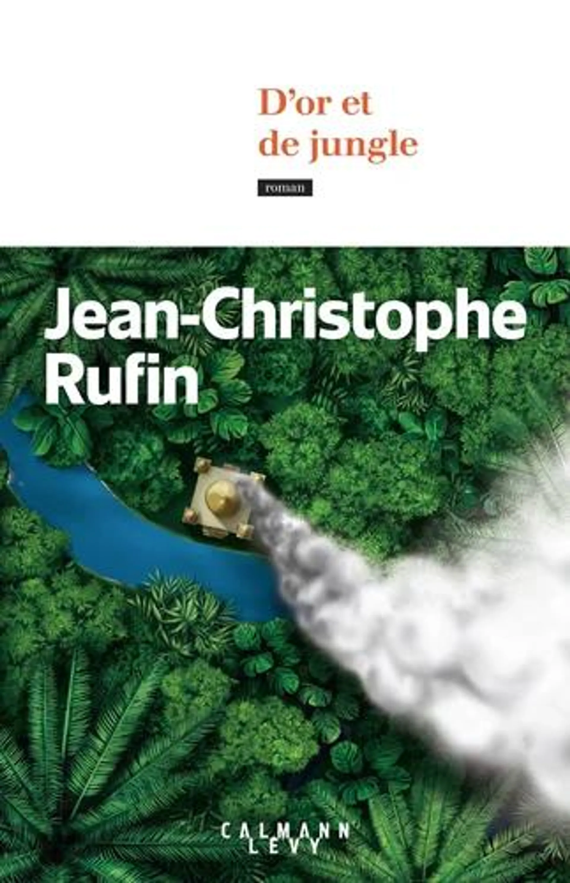 D'or et de jungle - E-book - ePub