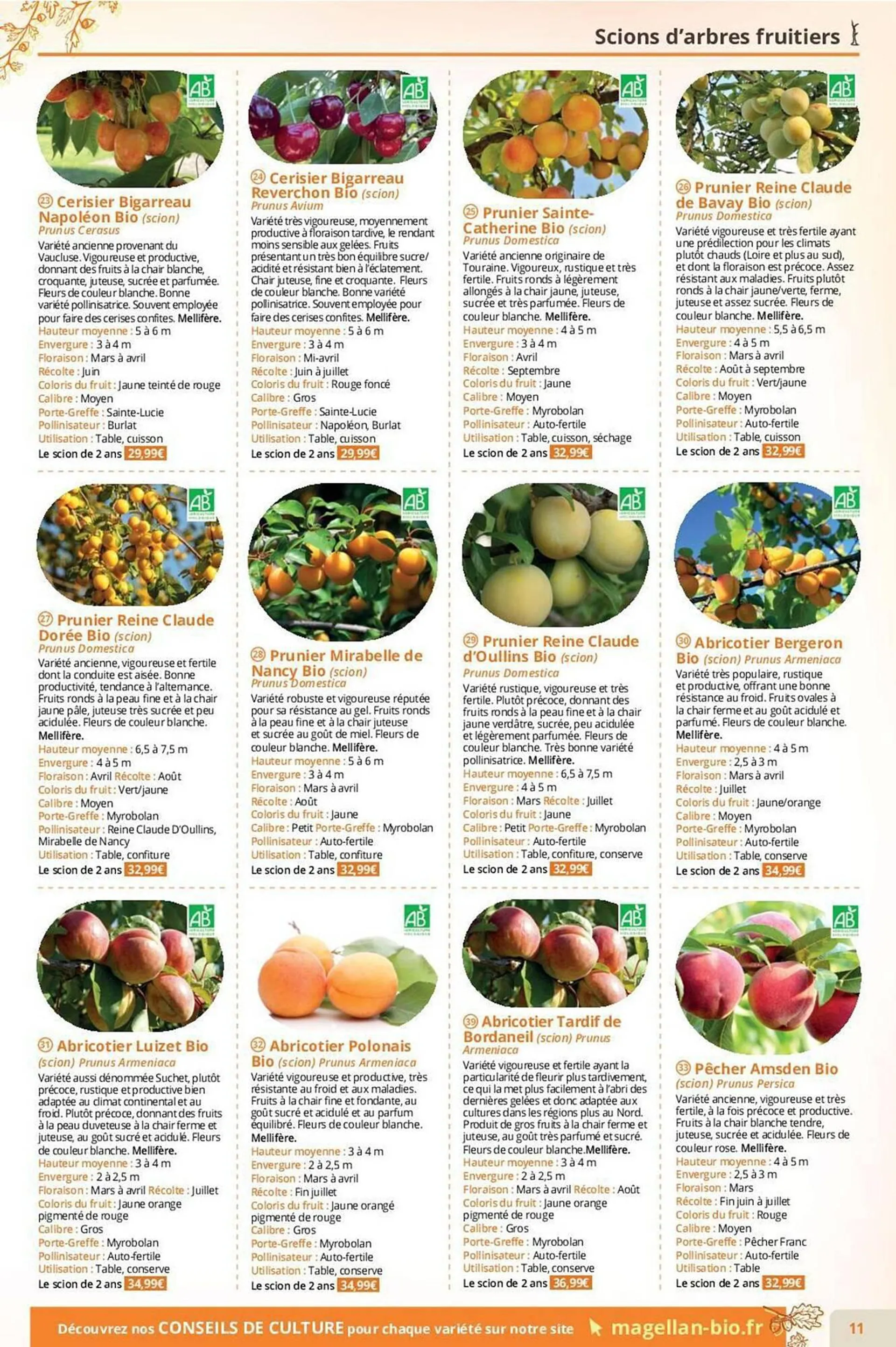 Catalogue Magellan du 7 septembre au 30 novembre 2023 - Catalogue page 2