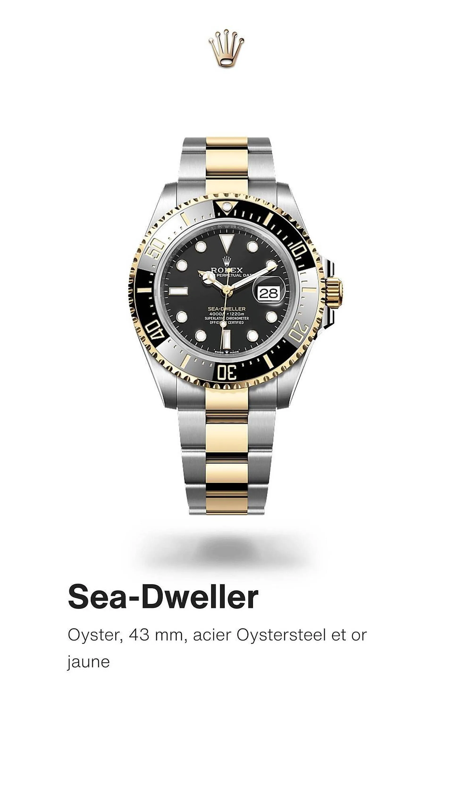 Catalogue Rolex du 15 avril au 28 décembre 2024 - Catalogue page 