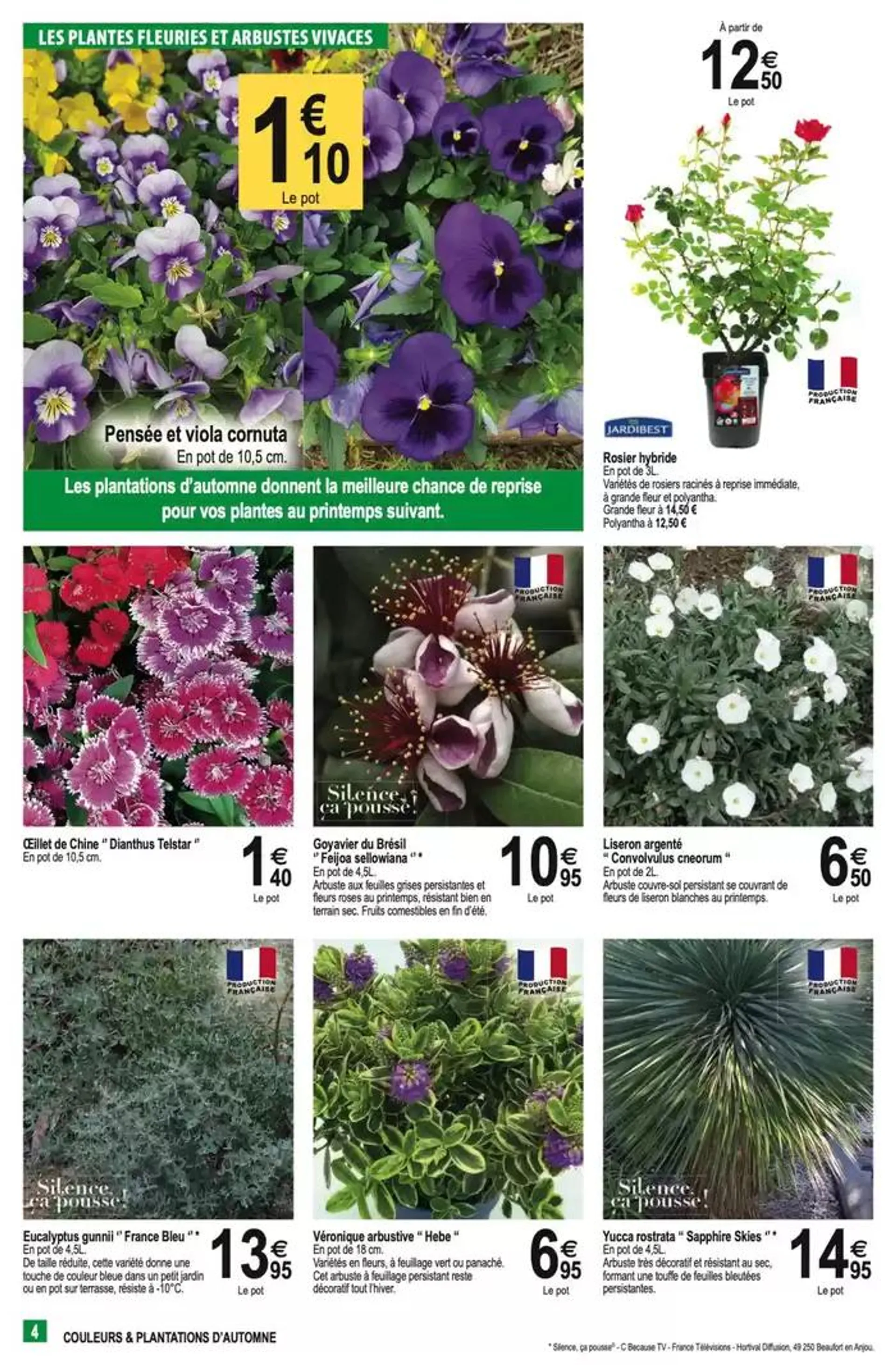 Couleurs & plantations d'automne du 23 octobre au 2 novembre 2024 - Catalogue page 4