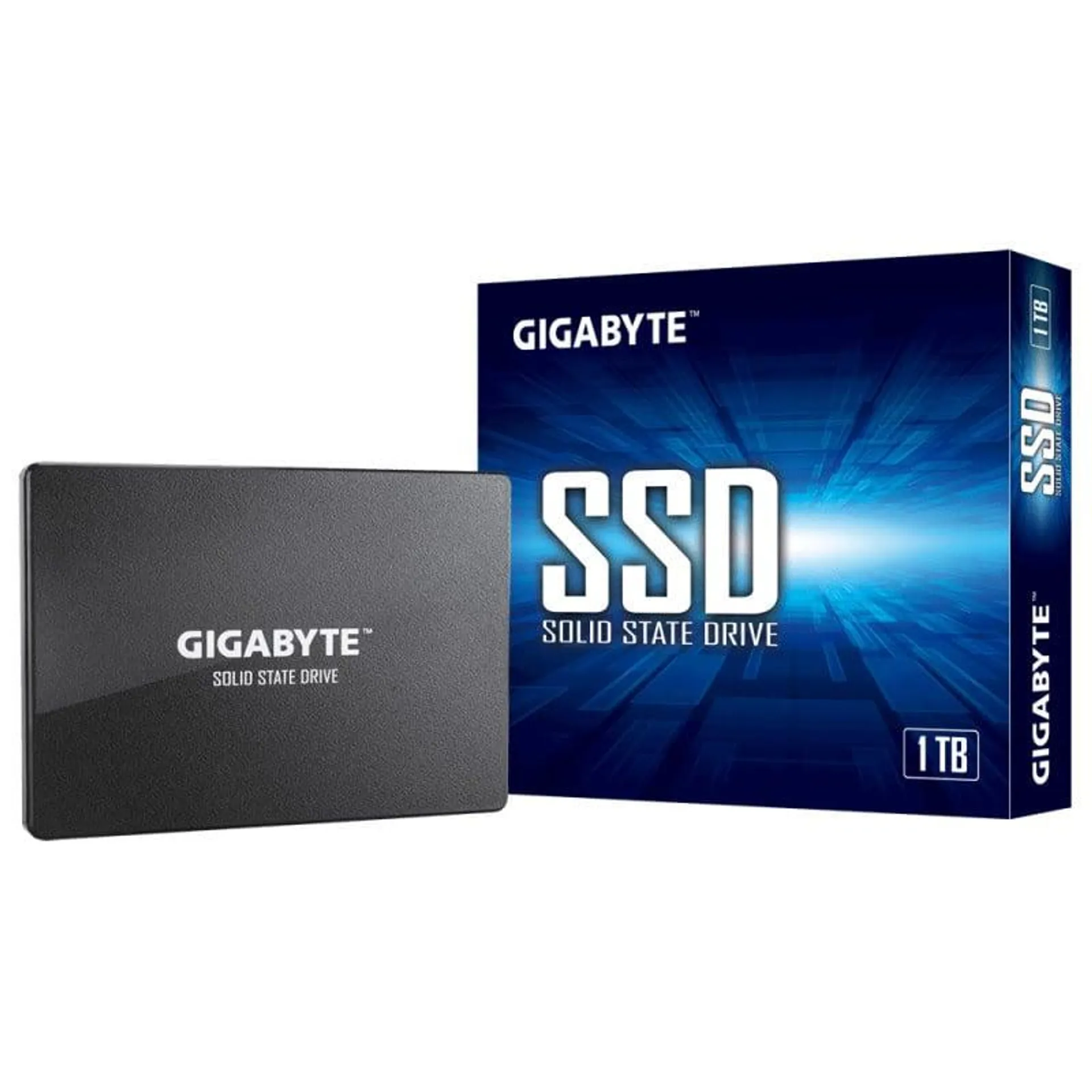 Gigabyte 1To SATA-Seconde Vie-Bon Etat