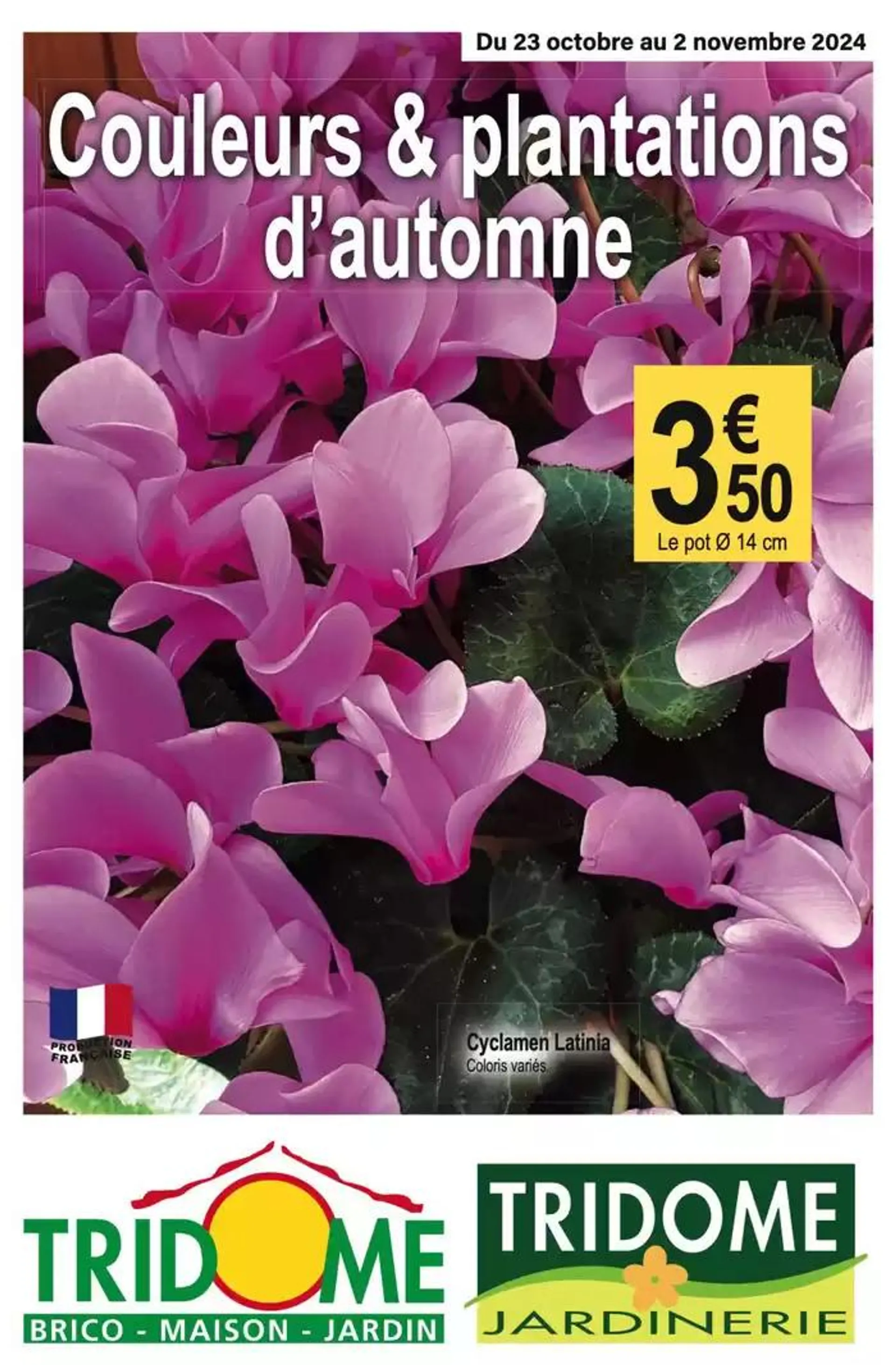 Couleurs & plantations dautomne - 1