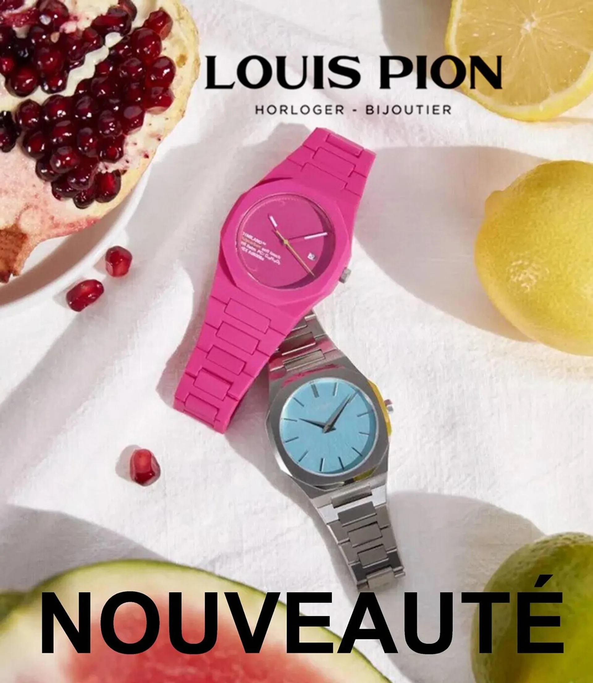 Catalogue Louis Pion - 1