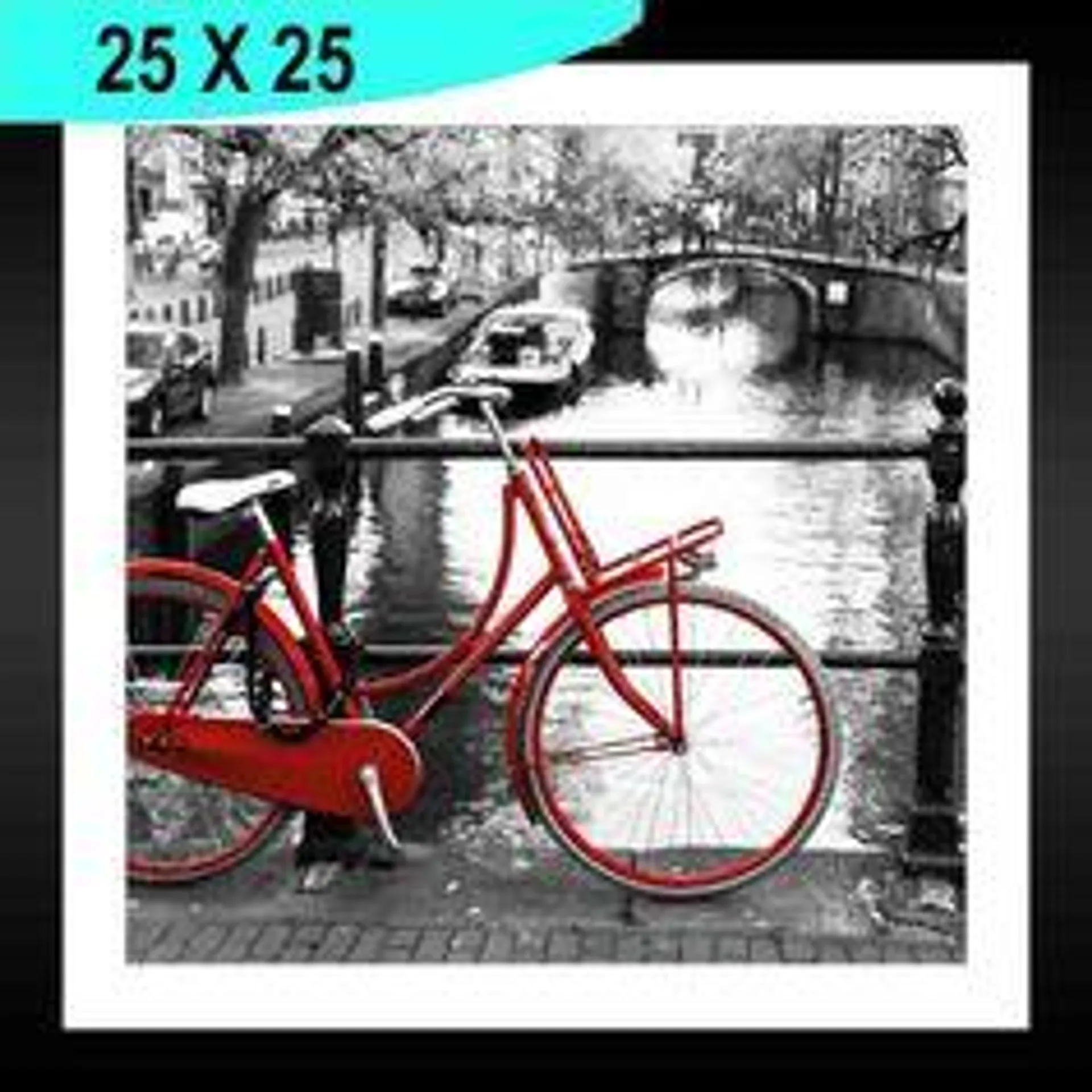 Tableau photo VELO cadre noir mat 25x25cm