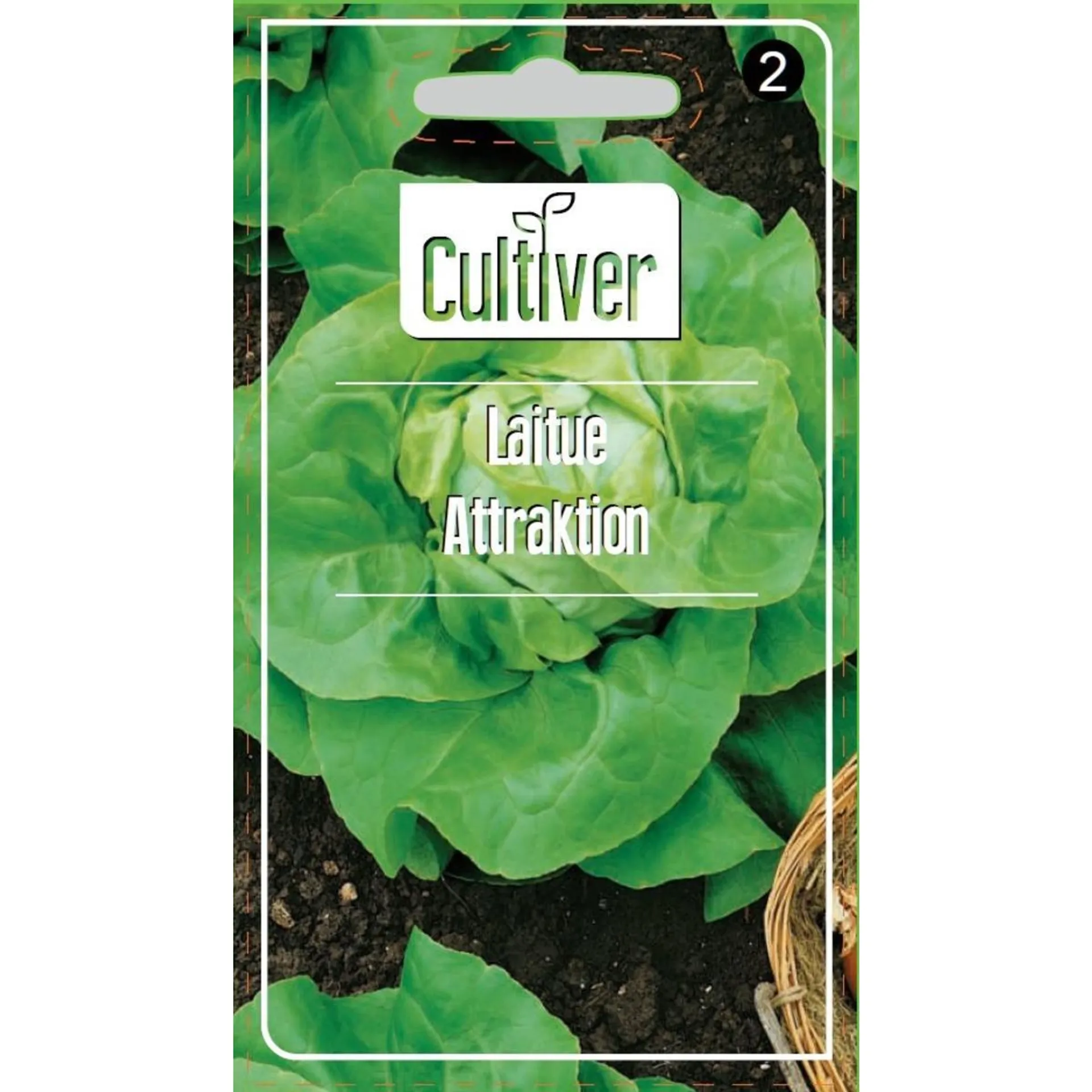 Semence de laitue Attraction à planter - 1 sachet