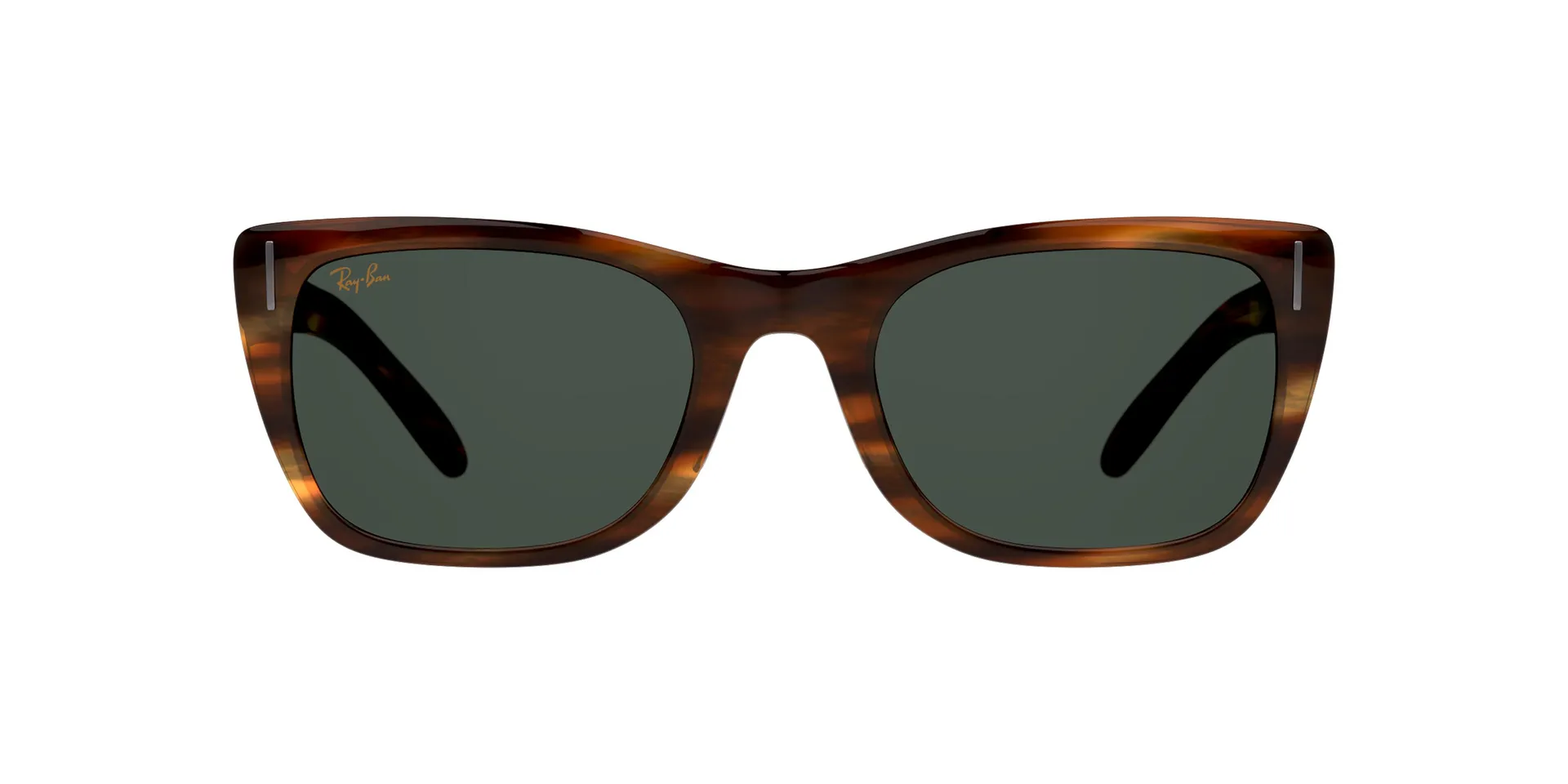 RAY-BAN RB2248 954/31