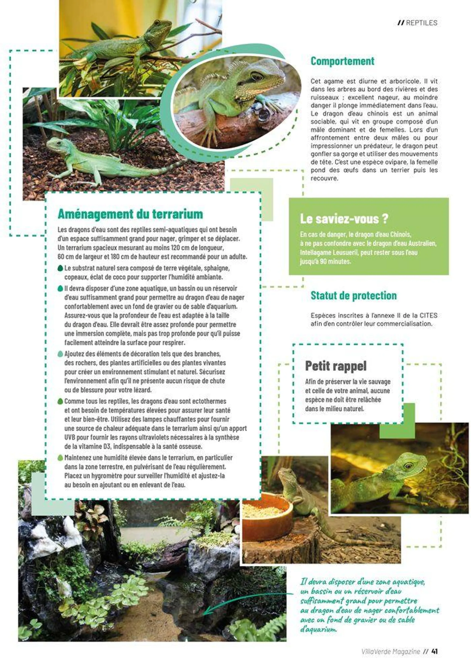 VillaVerde Animalerie 2024 du 18 juin au 31 décembre 2024 - Catalogue page 41