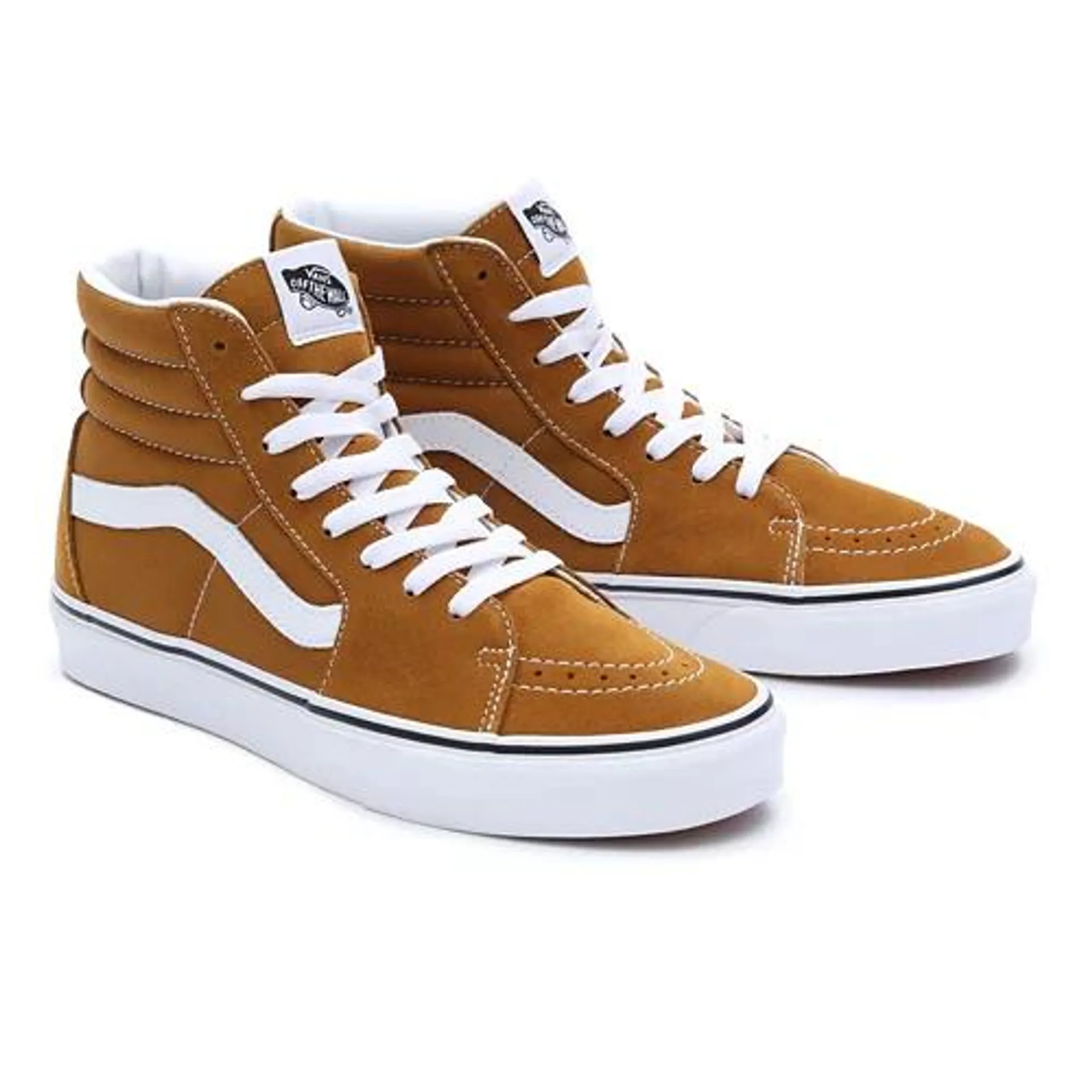 Chaussures Color Theory Sk8-Hi