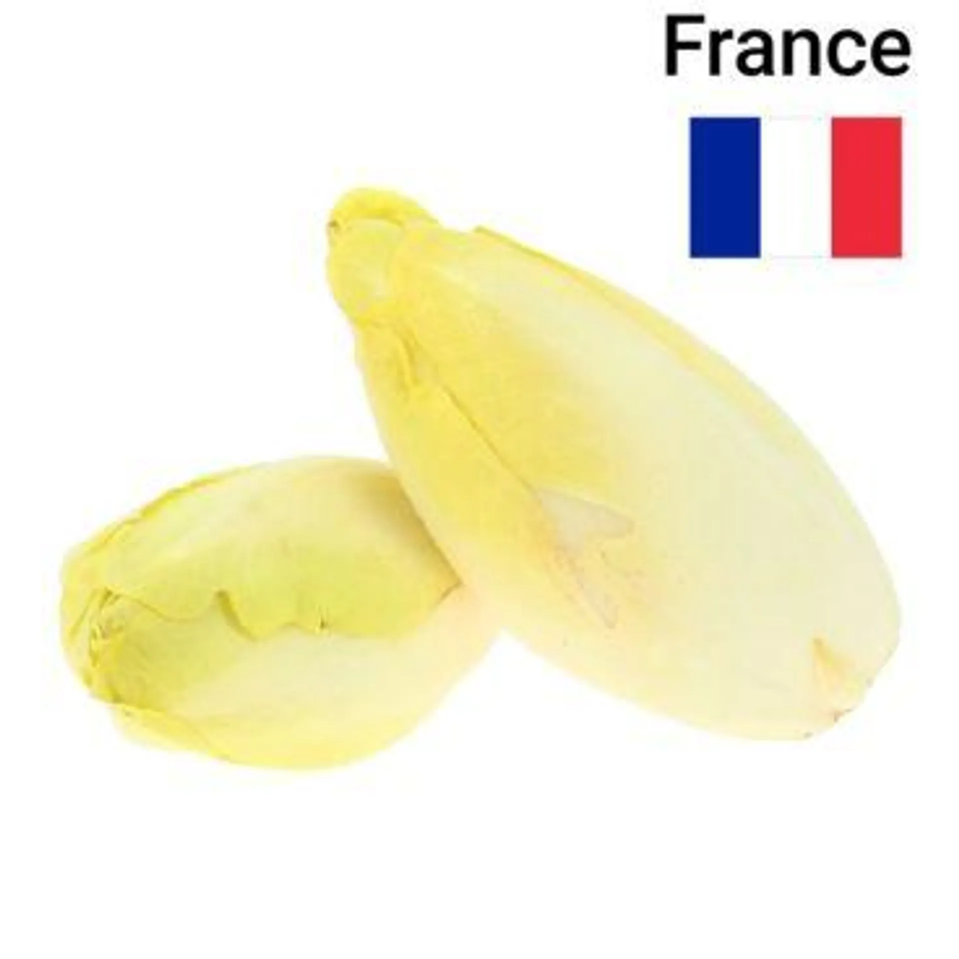 Endive 500g Bio