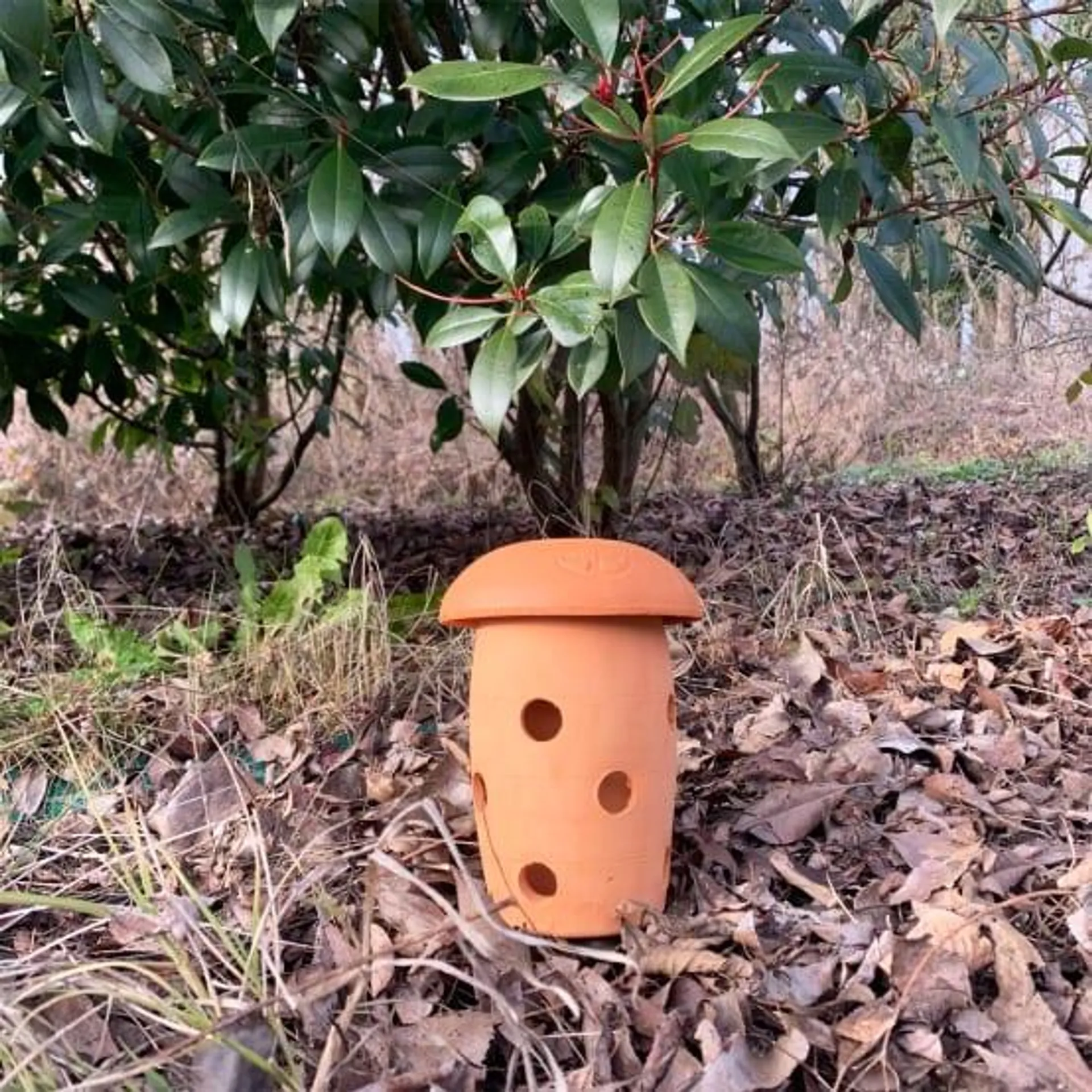 Lombricomposteur à enterrer - 0,8 L - Poterie JAMET