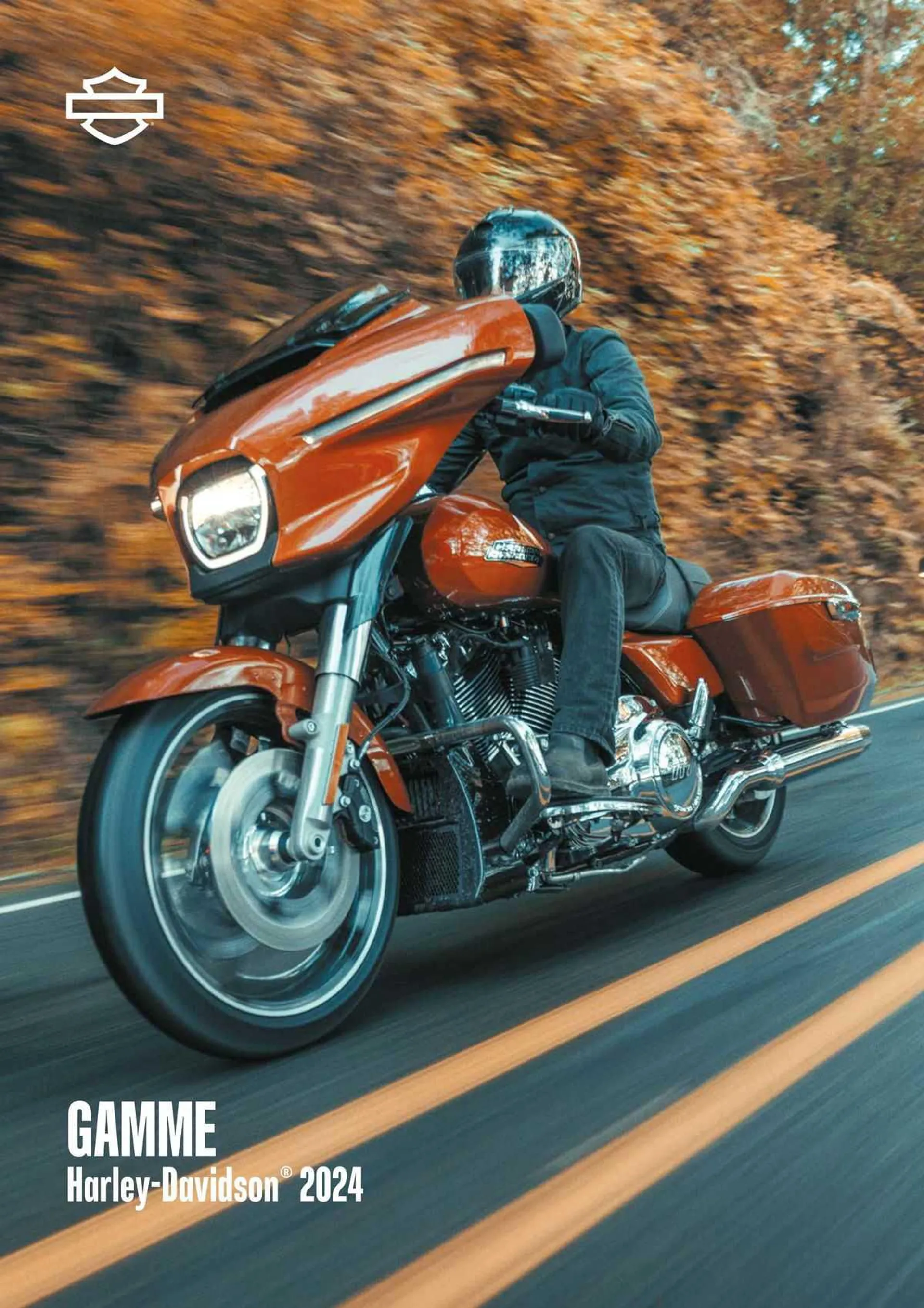 Catalogue Harley-Davidson du 12 mars au 30 novembre 2024 - Catalogue page 