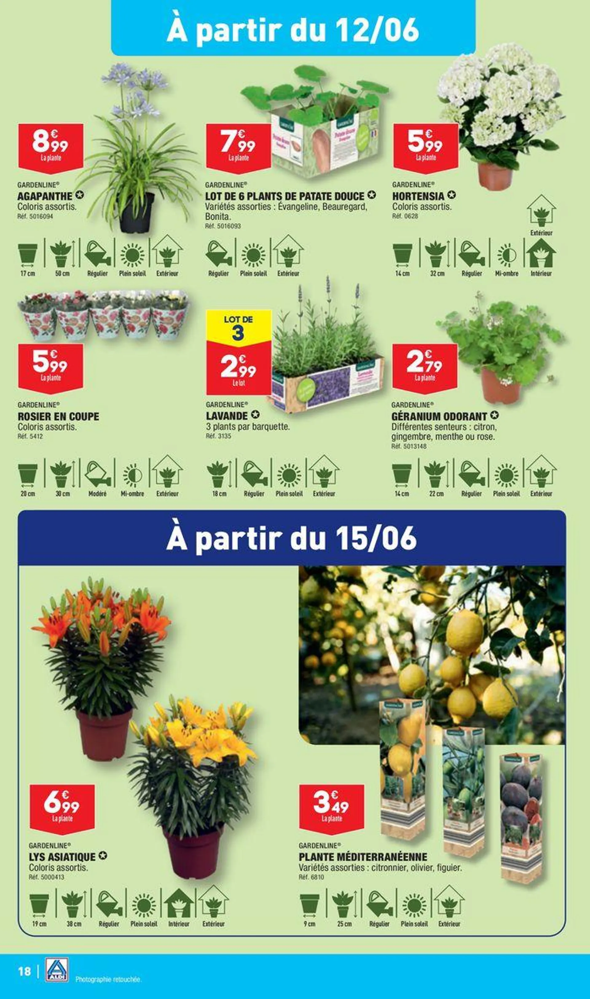 Arrivages entretien à prix discount du 11 juin au 17 juin 2024 - Catalogue page 20