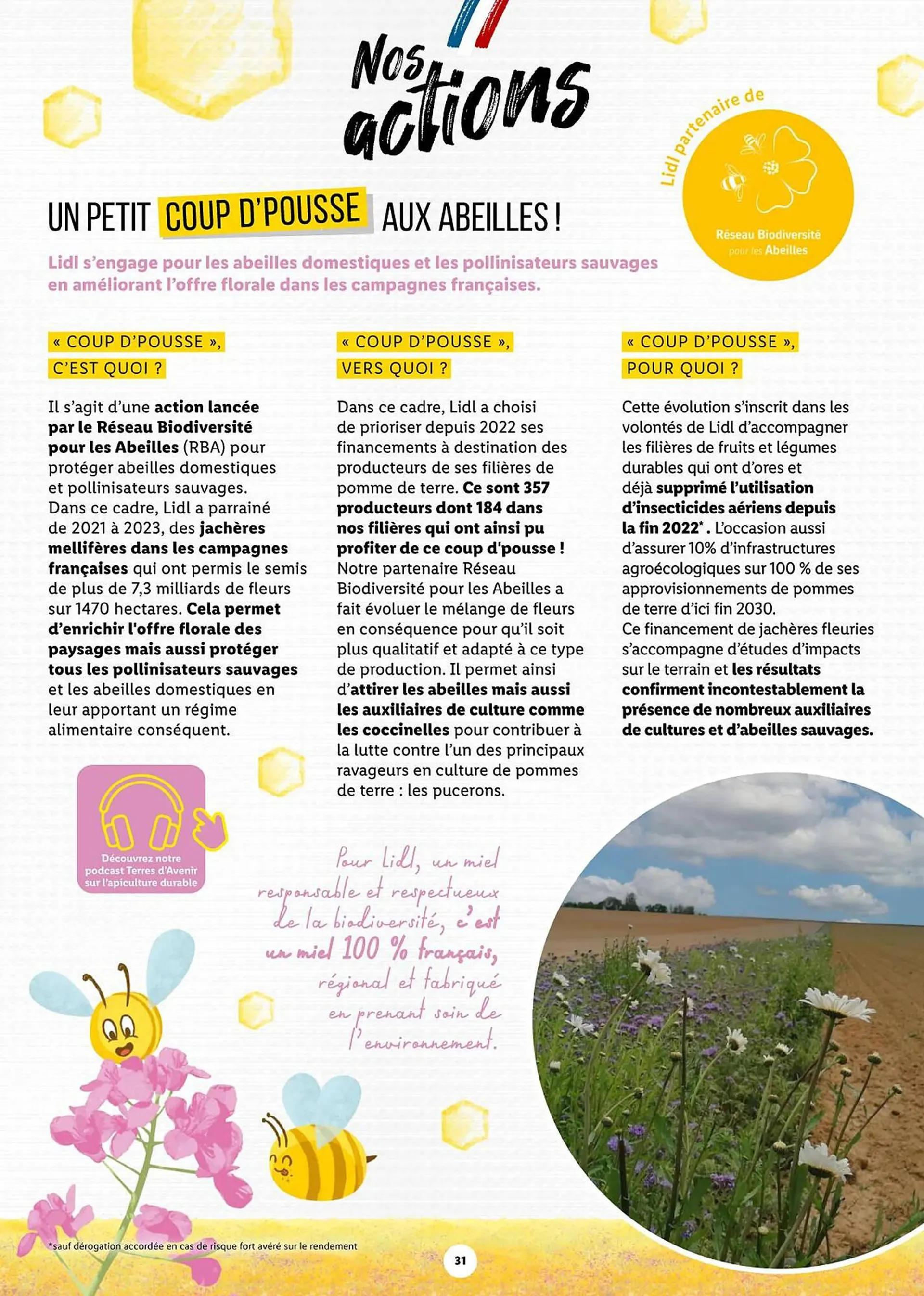 Catalogue Lidl du 1 mars au 28 décembre 2024 - Catalogue page 31