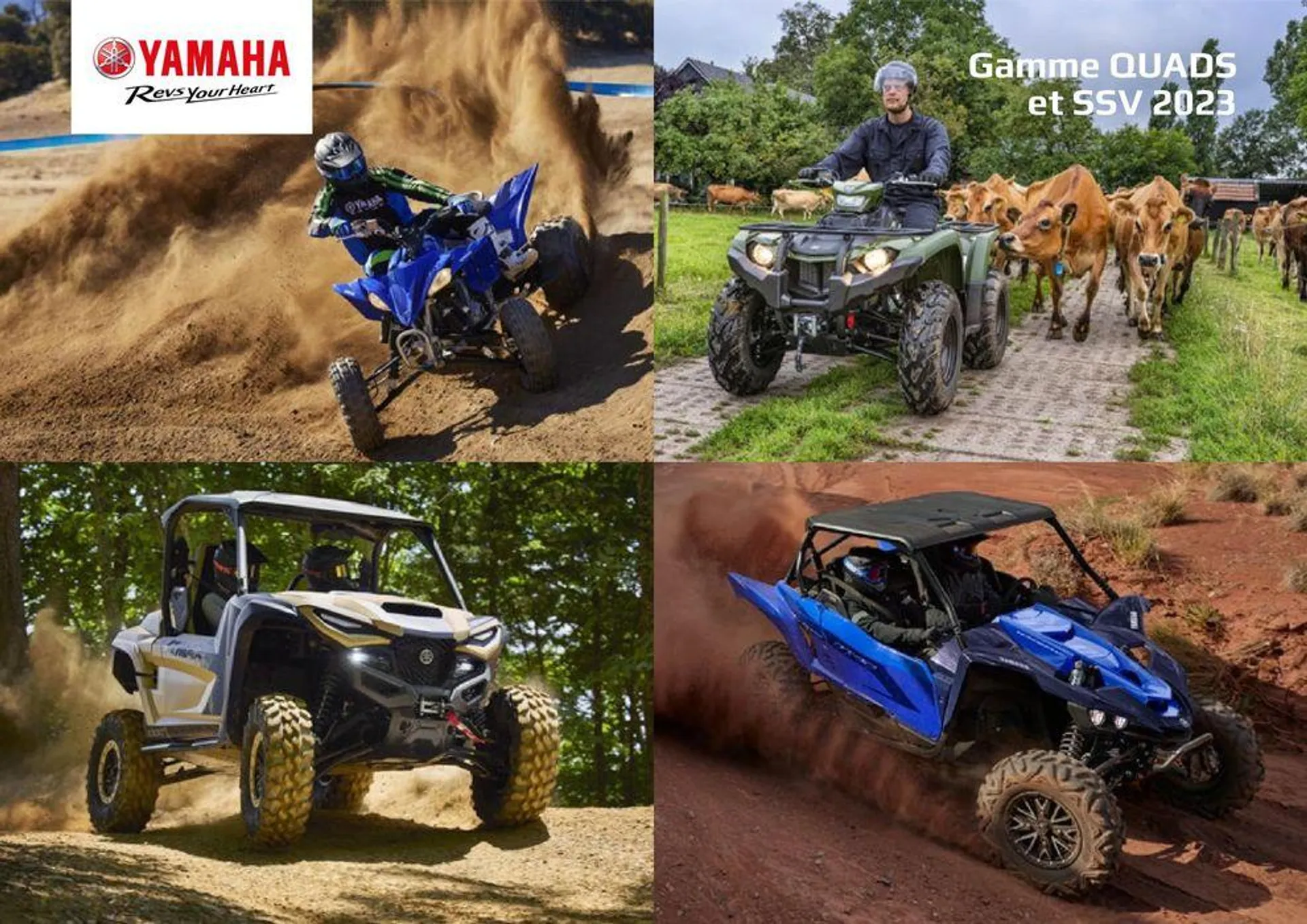 Catalogue Yamaha Quatre roues - Quads et SSV - 1