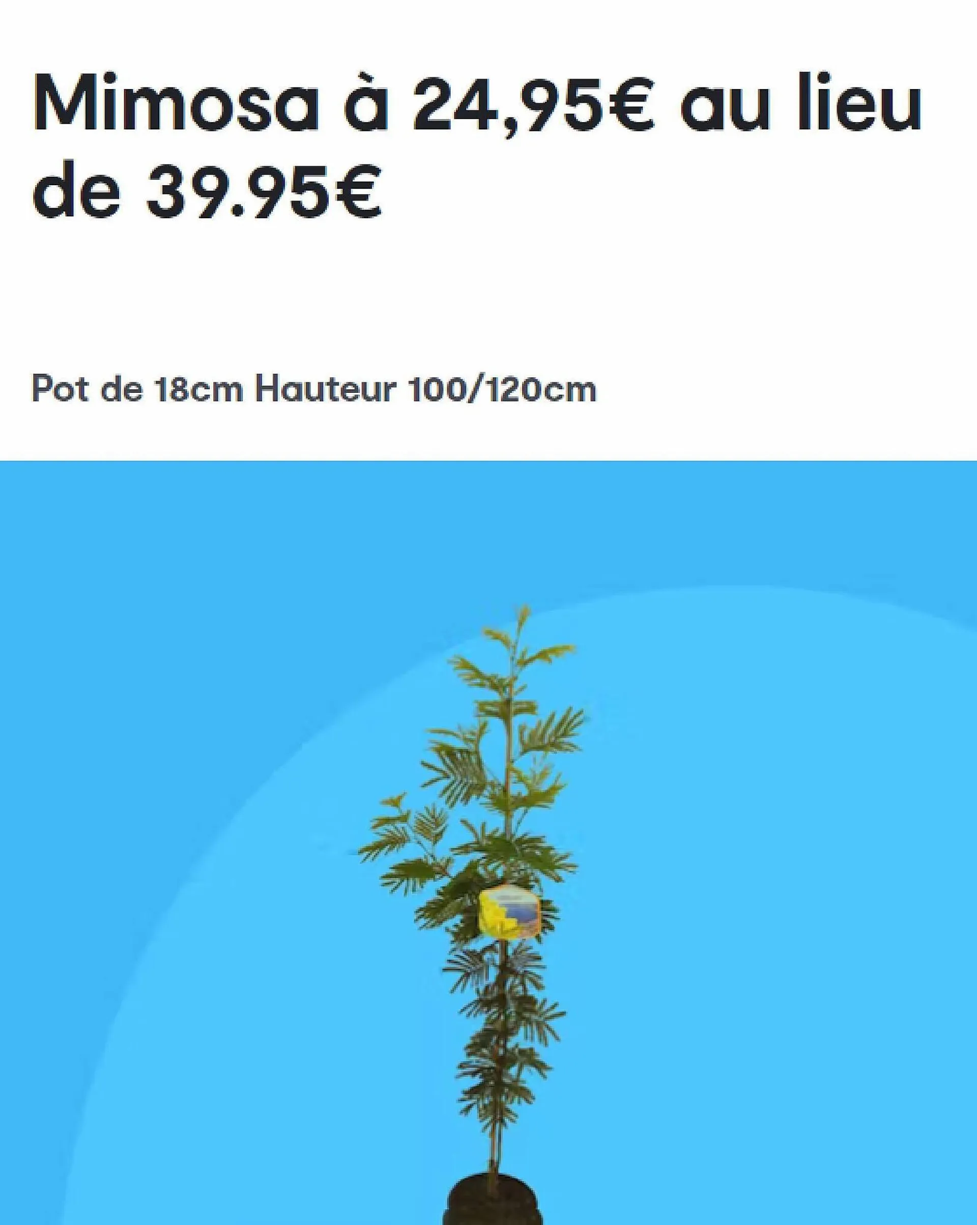 Catalogue Côté Nature - 5