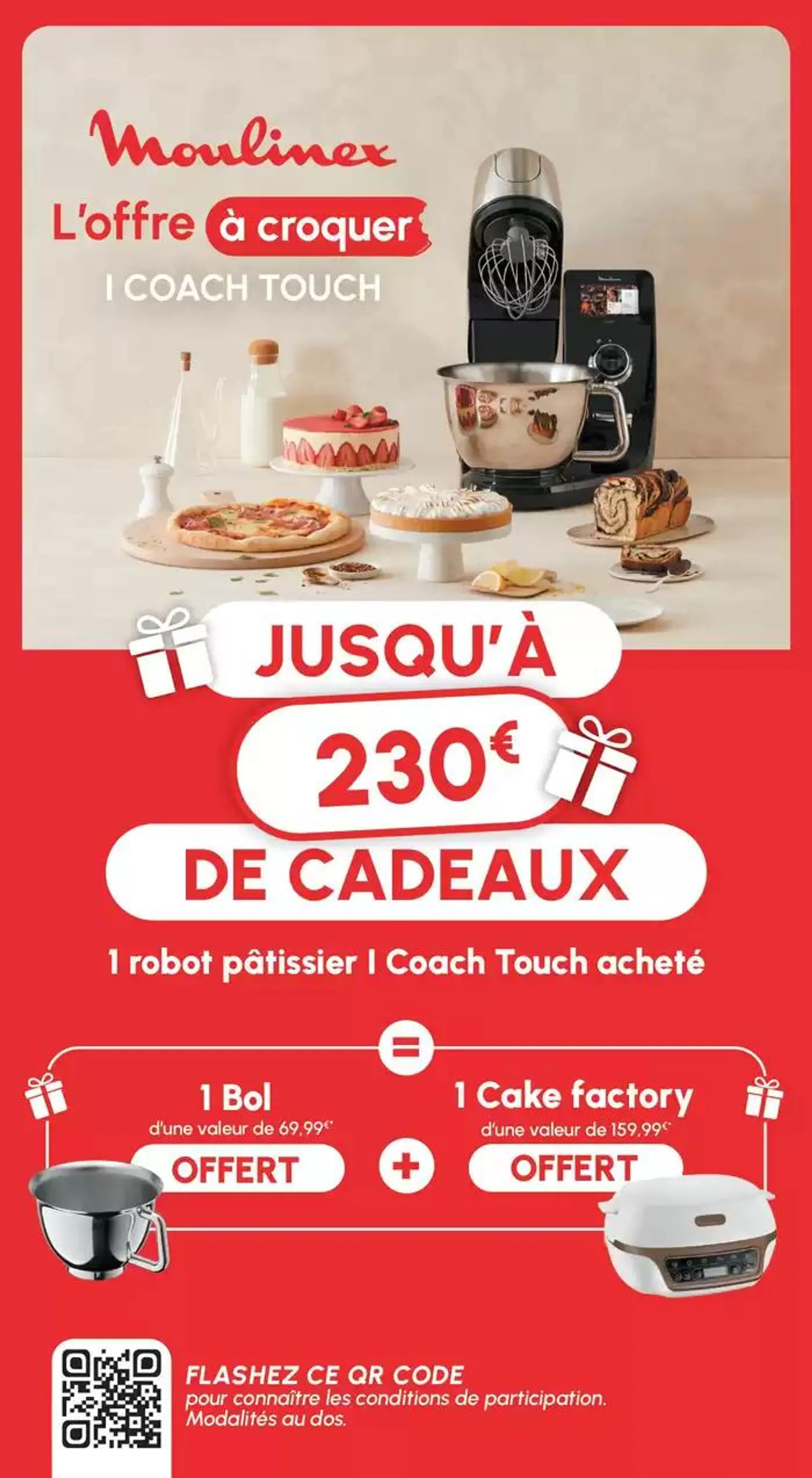 Moulinex vous offre 1 bol et 1 cake factory - 1