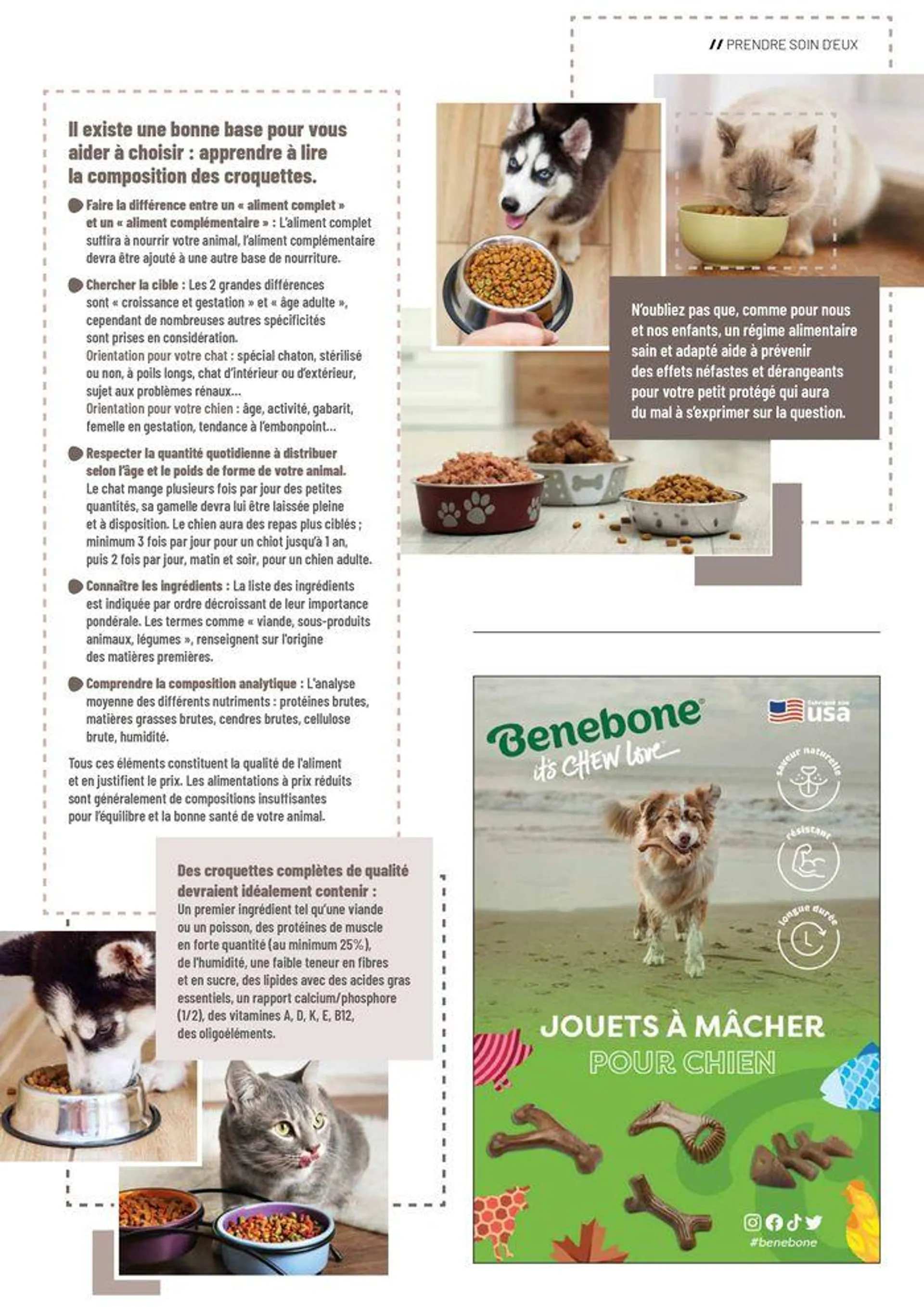 VillaVerde Animalerie 2024 du 18 juin au 31 décembre 2024 - Catalogue page 19