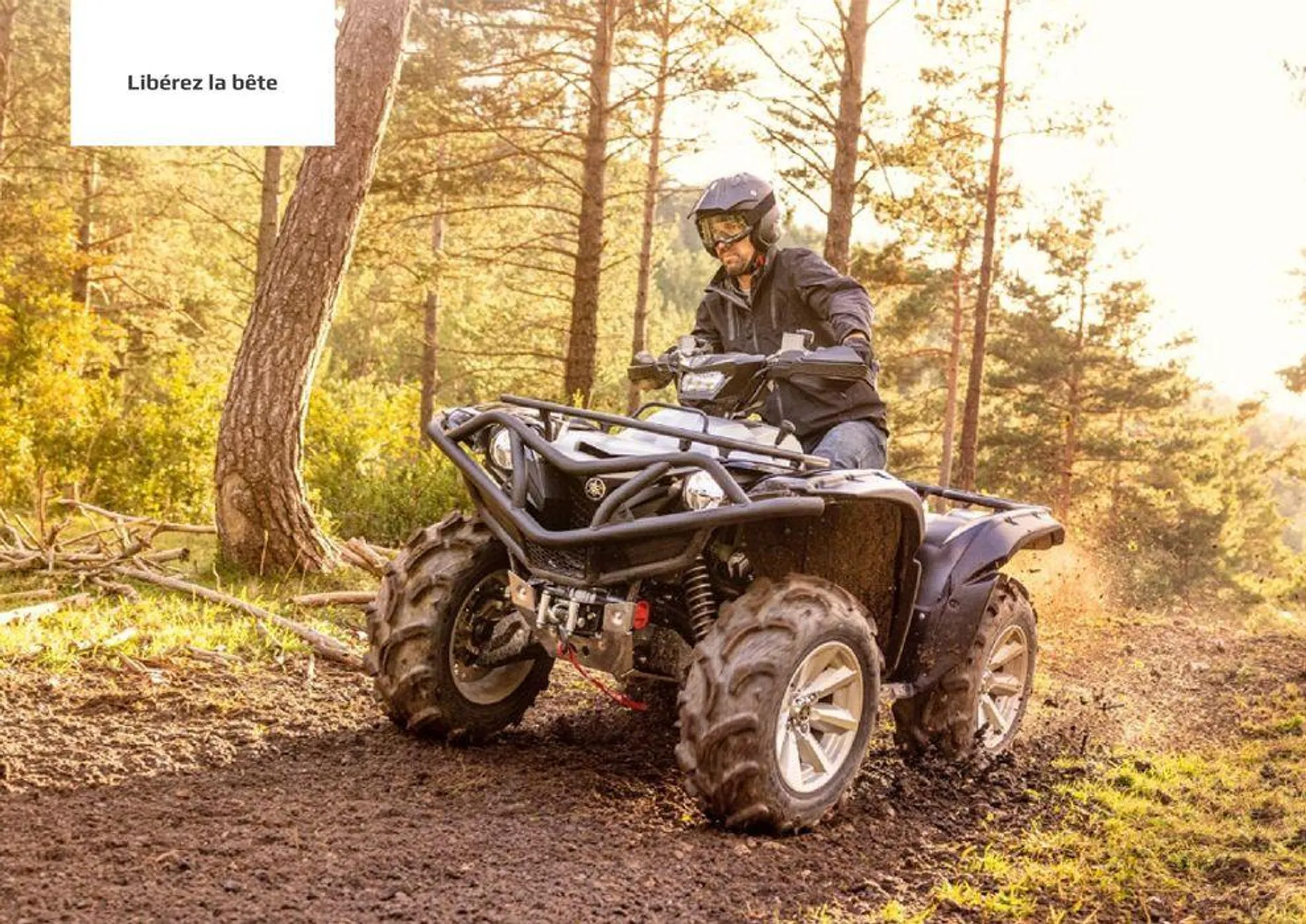 Catalogue Yamaha Quatre roues - Quads et SSV - 29