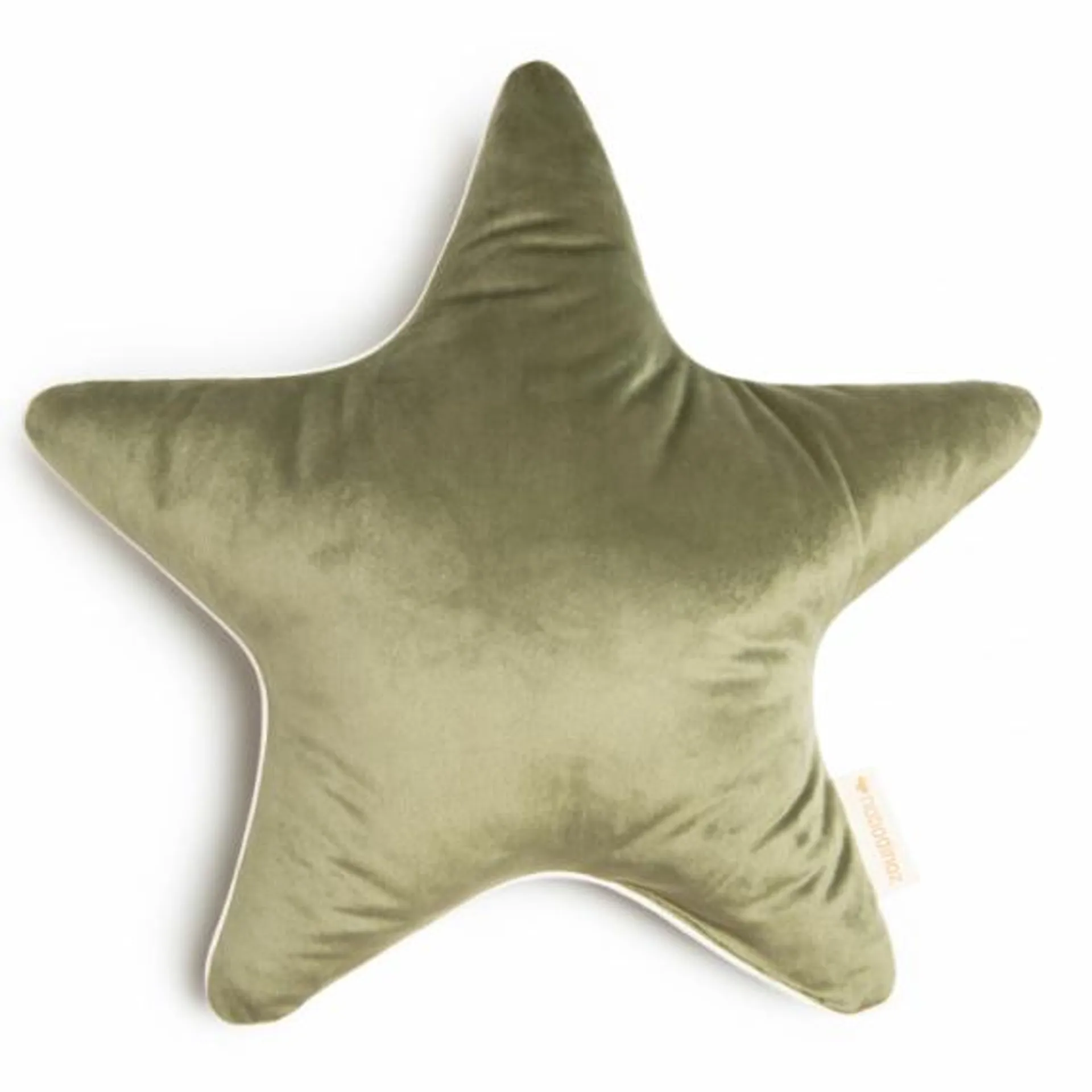 Coussin Star Aristote Velvet