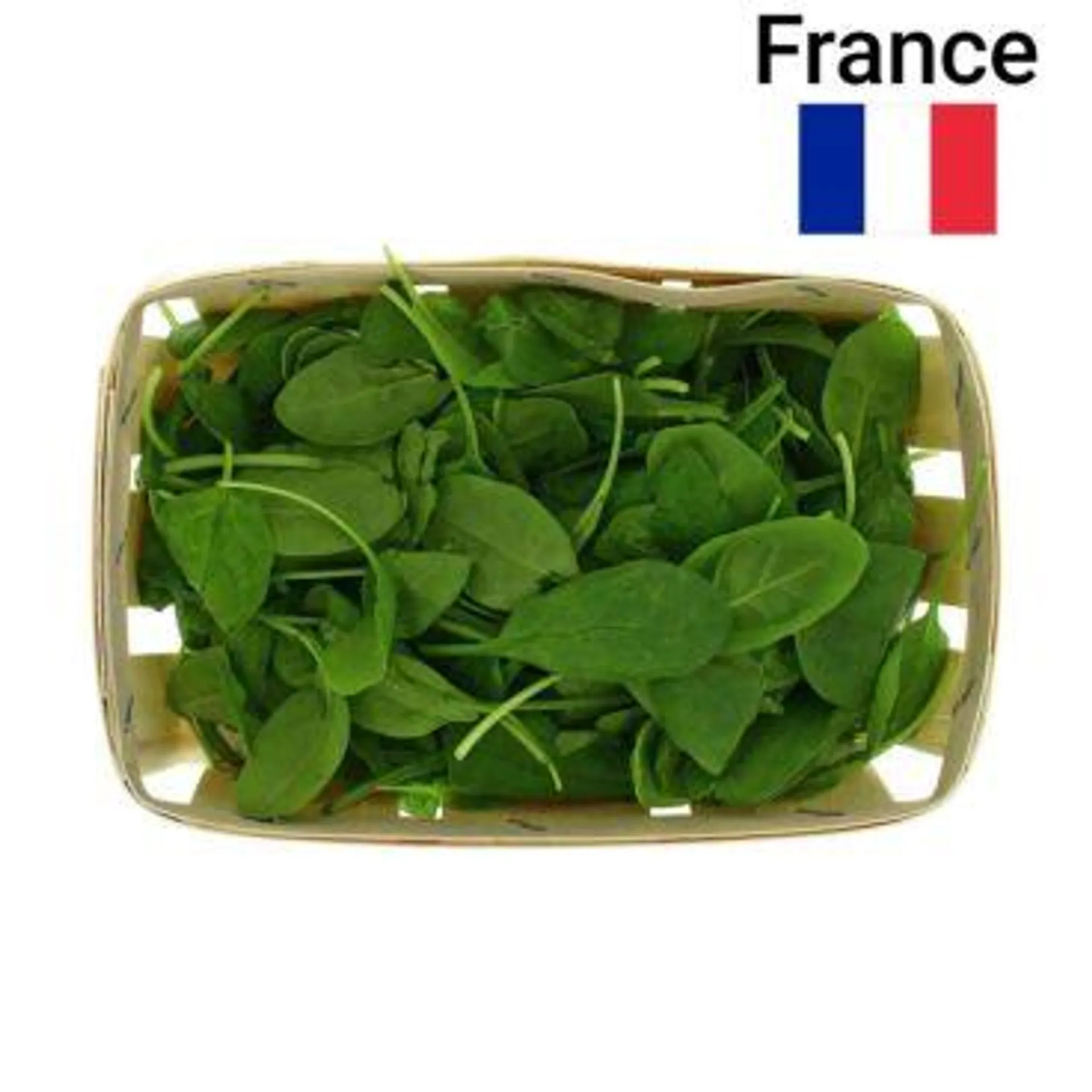 Pousses D'épinard Barquette 125g Bio