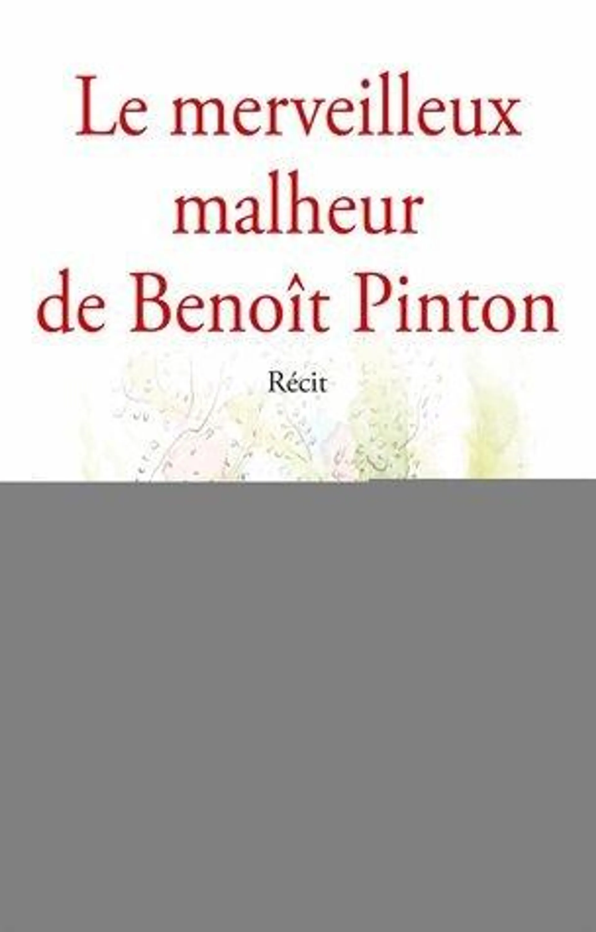 Le Merveilleux Malheur De Benoît Pinton