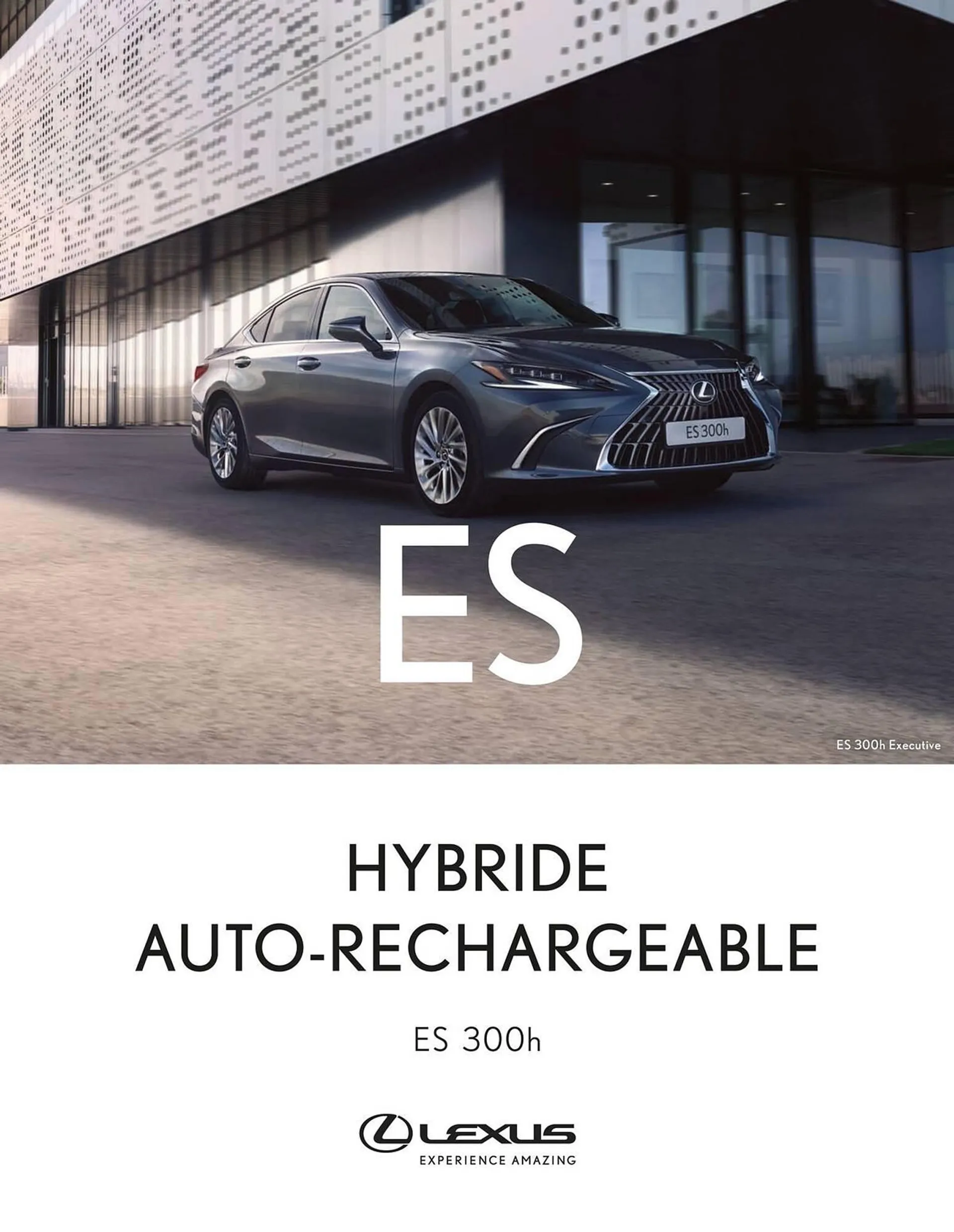 Catalogue Lexus - 1
