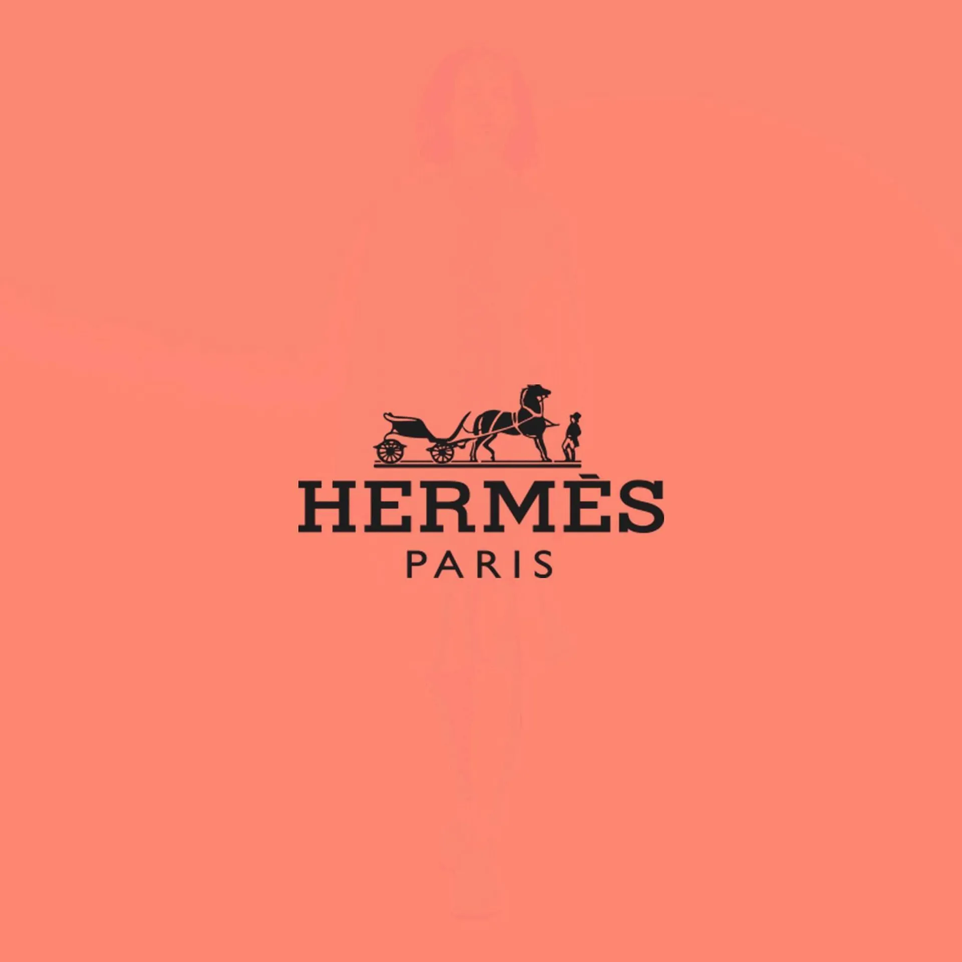 Catalogue Hermès - 12