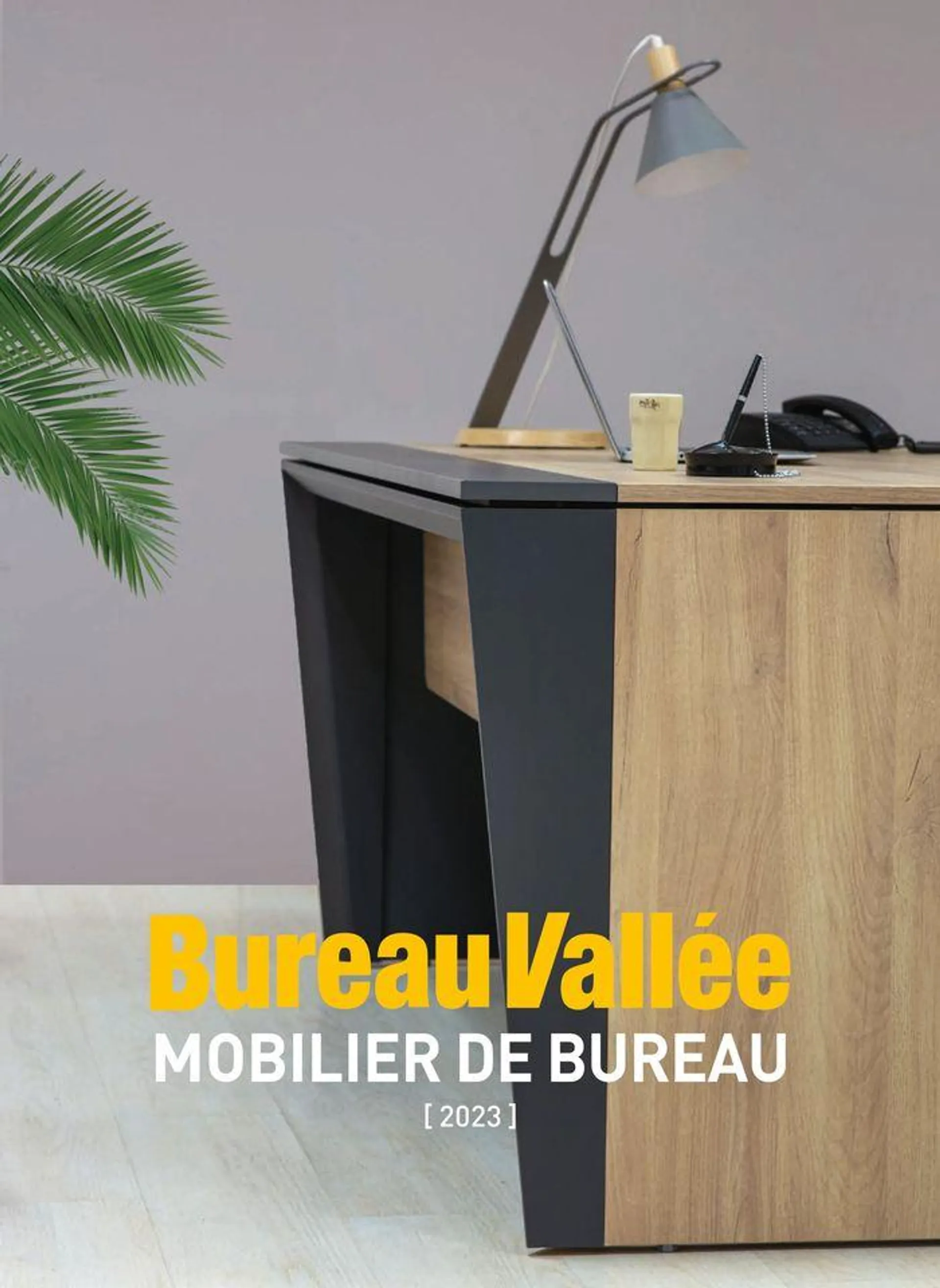 MOBILIER DE BUREAU - 1