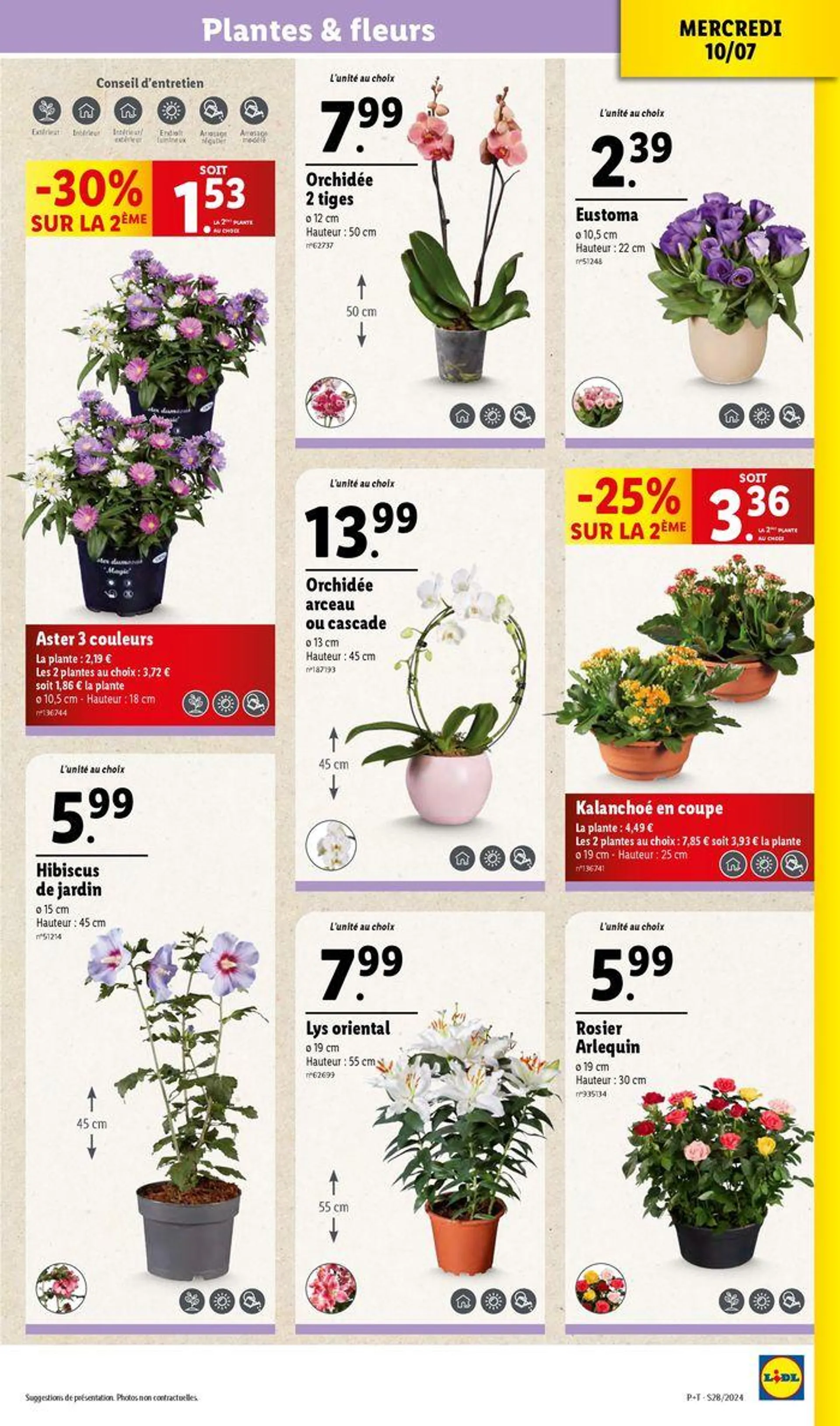 Profiez des petits prix pour des méga économies chez Lidl ! du 10 juillet au 16 juillet 2024 - Catalogue page 37