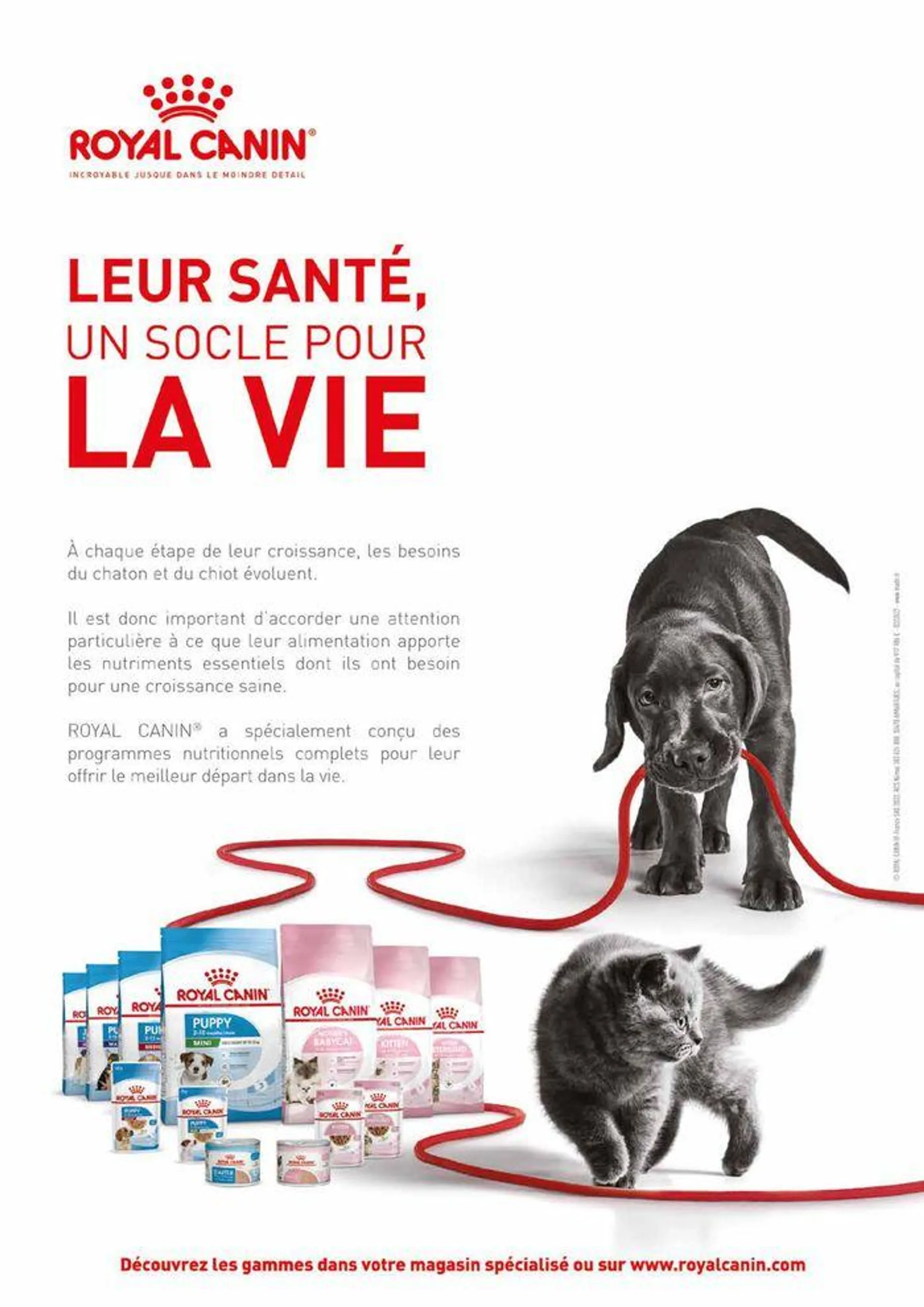 VillaVerde Animalerie 2024 du 18 juin au 31 décembre 2024 - Catalogue page 20