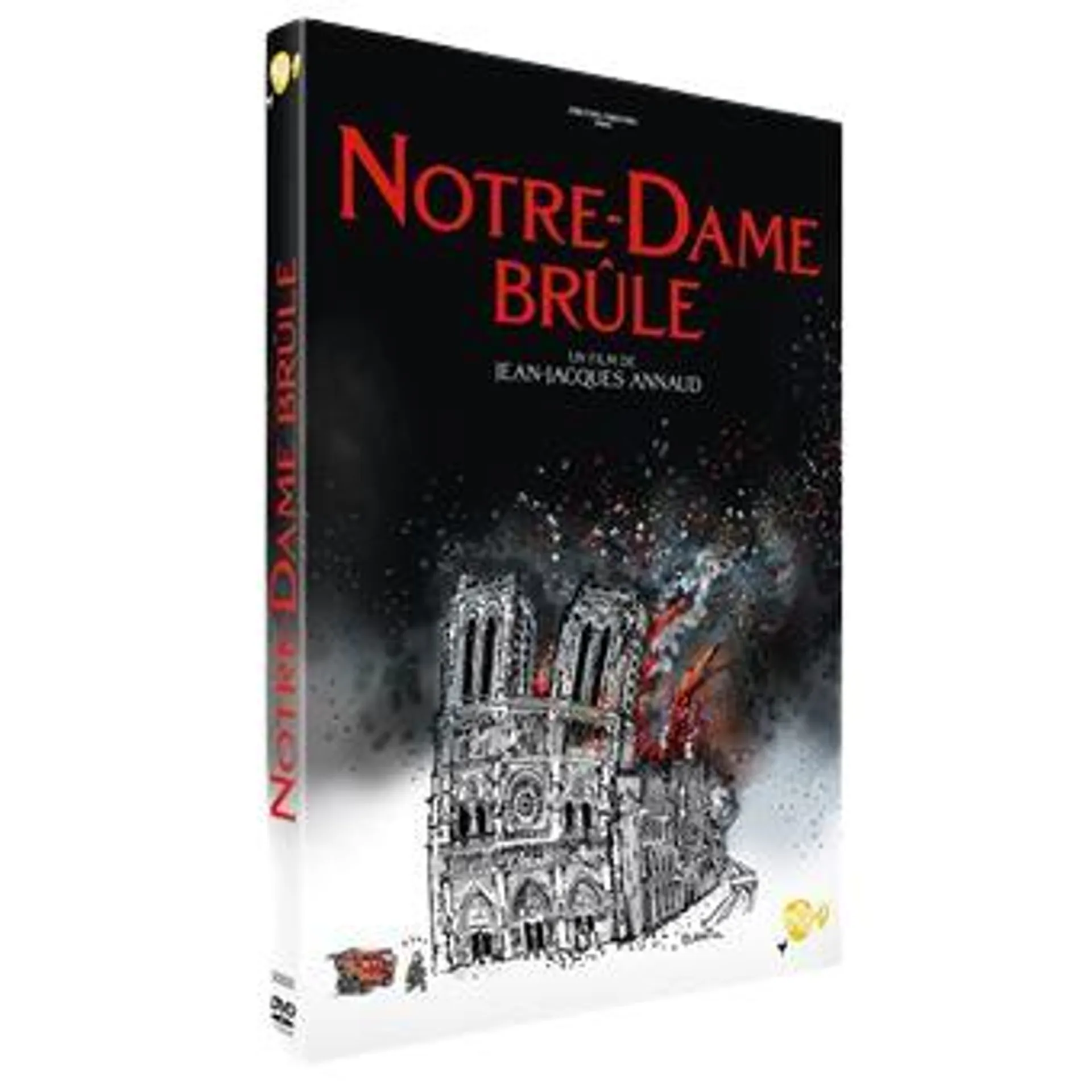 Notre-Dame brûle - DVD