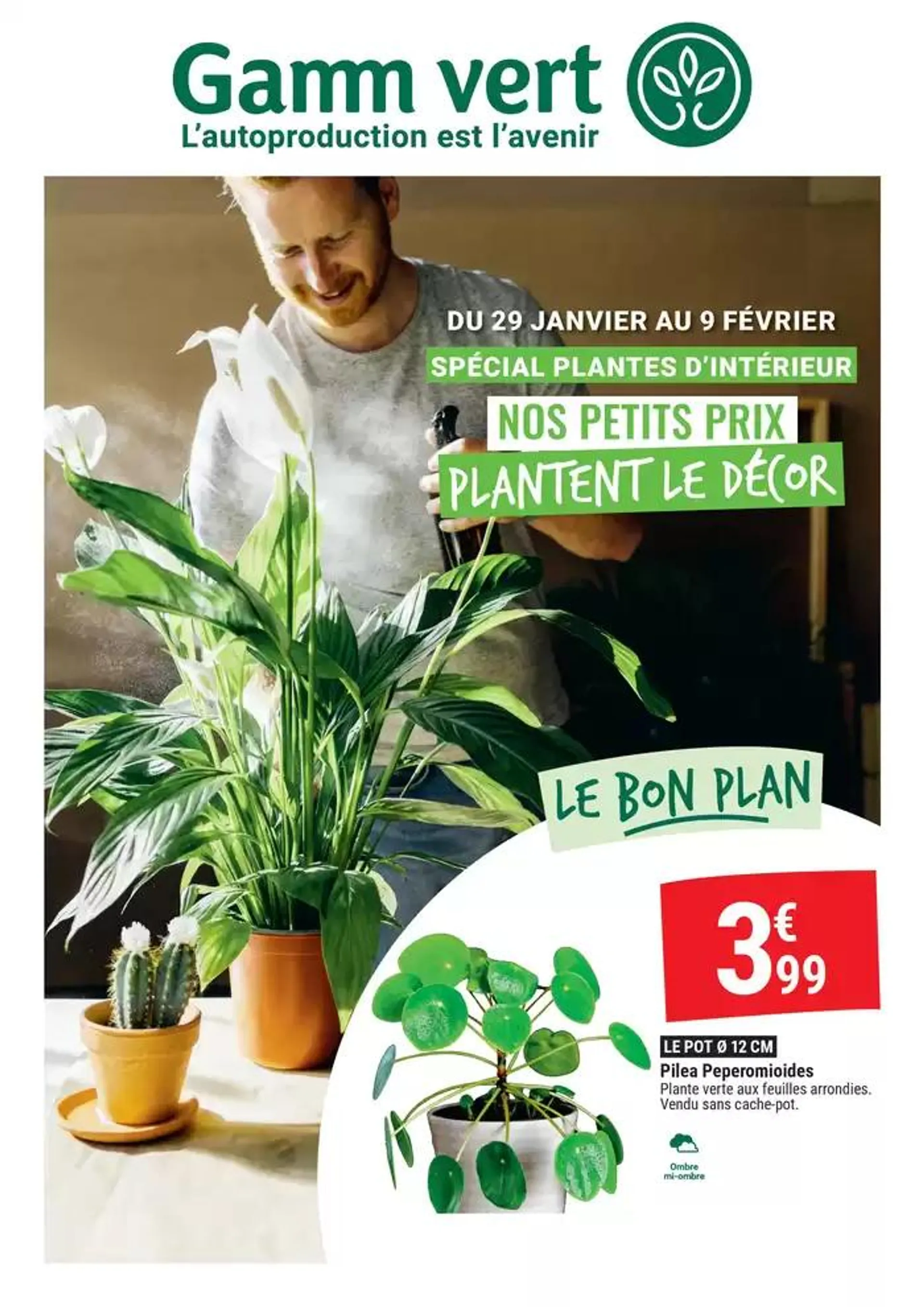 Spécial plantes dintérieur - 1