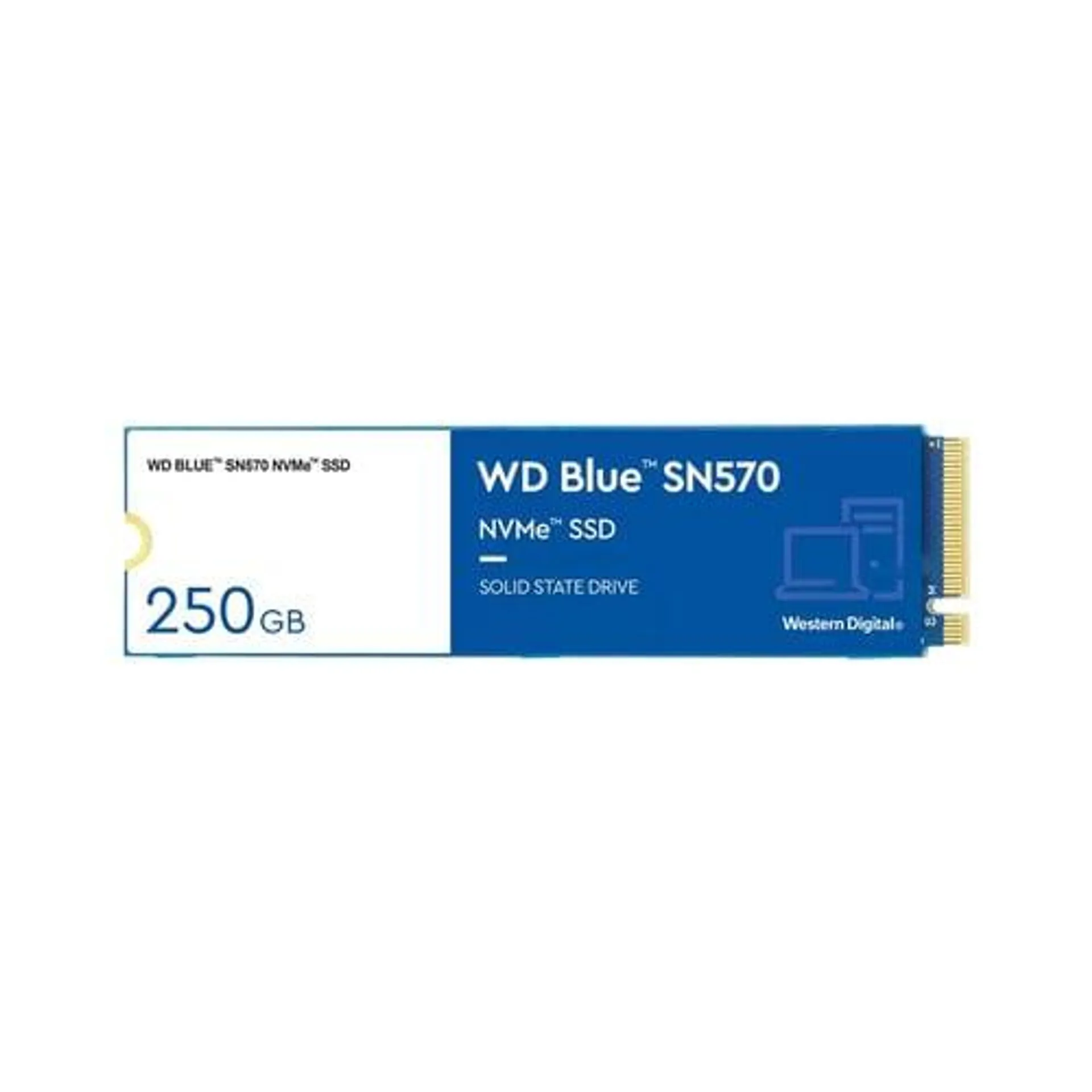 WD BLUE SN570 250Go M.2