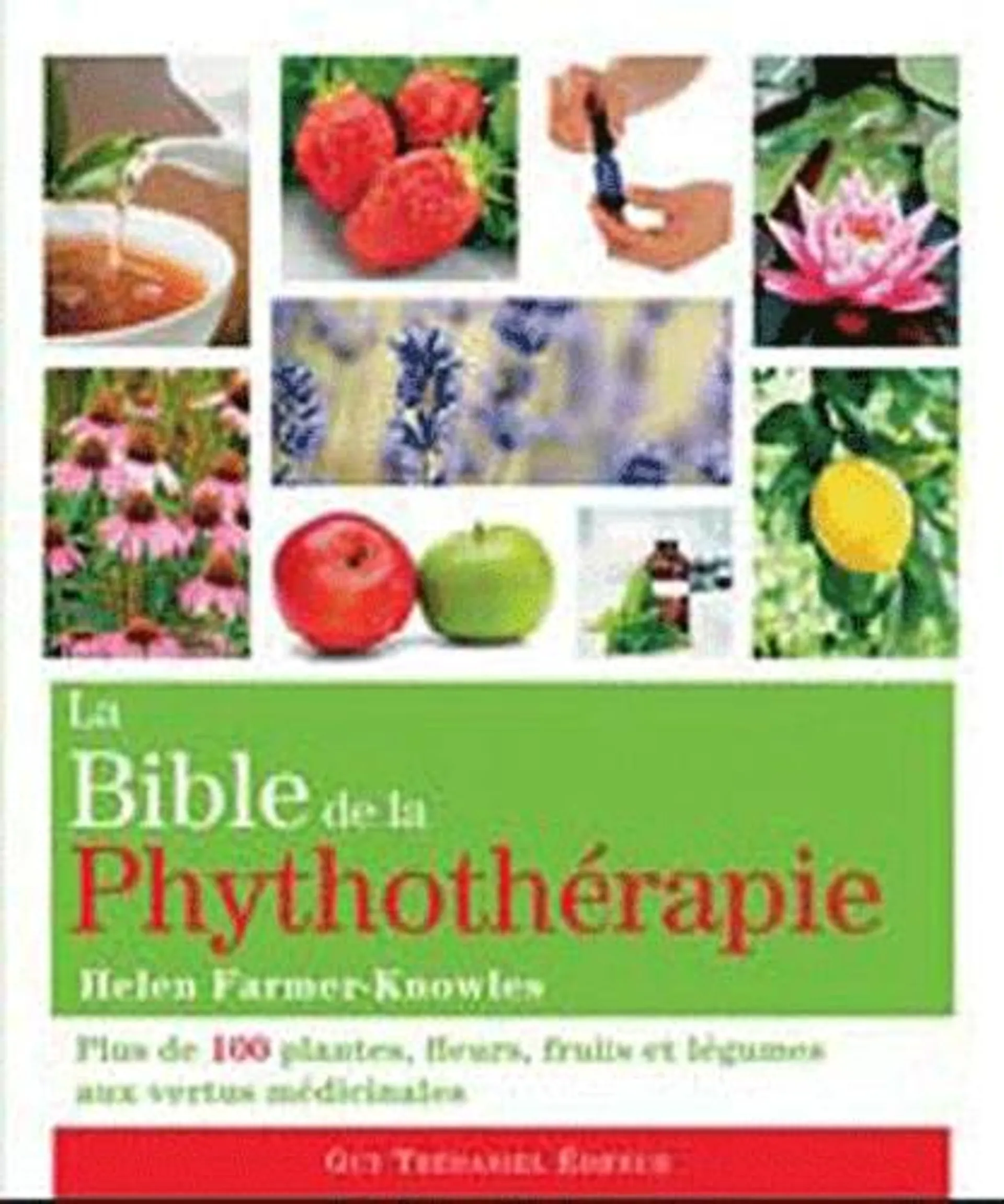 La bible de la phytothérapie - Plus de 100 plantes, fleurs, fruits et légumes aux vertus médicinales - Grand Format