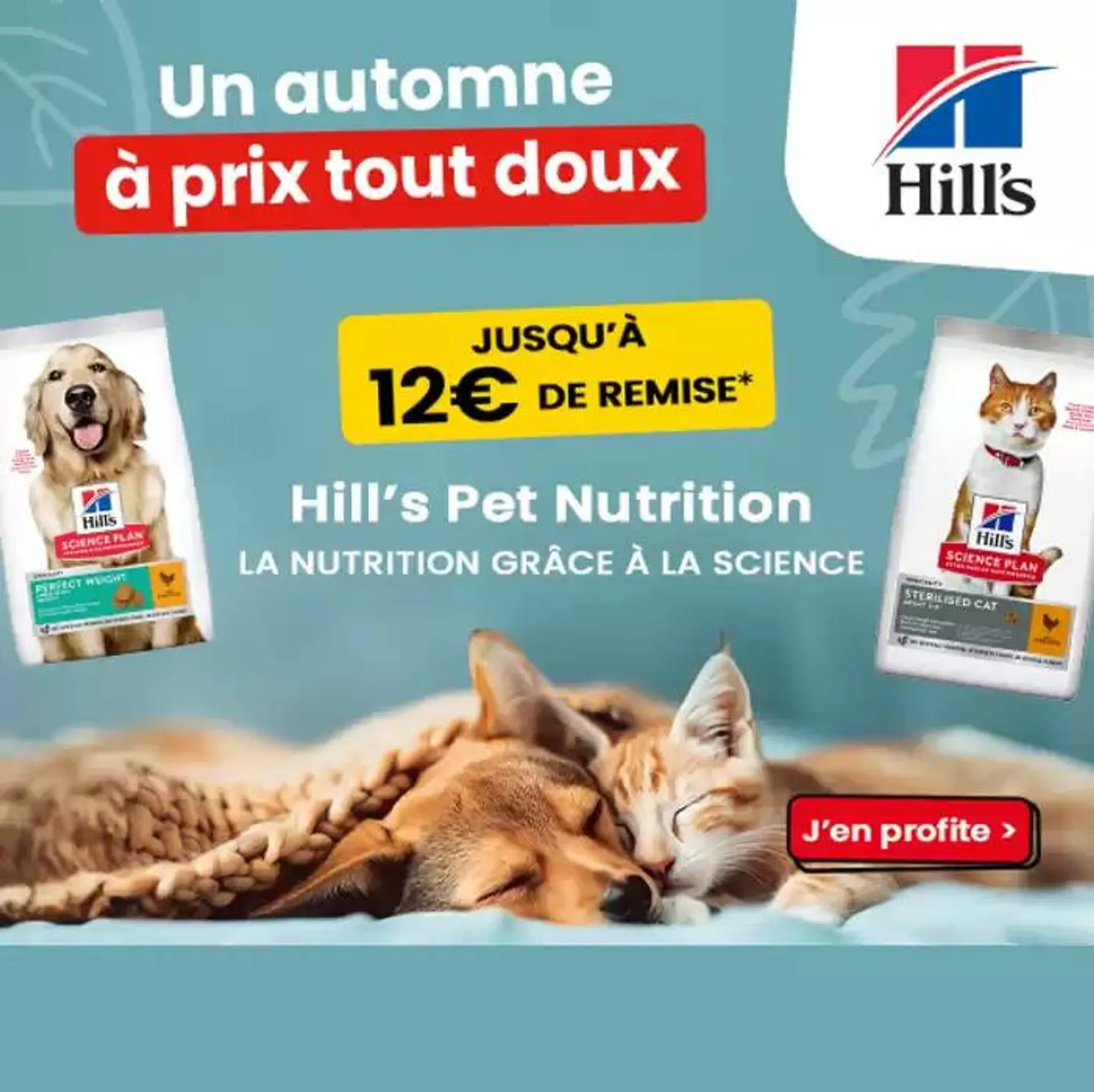 Friandises pour chien - 1