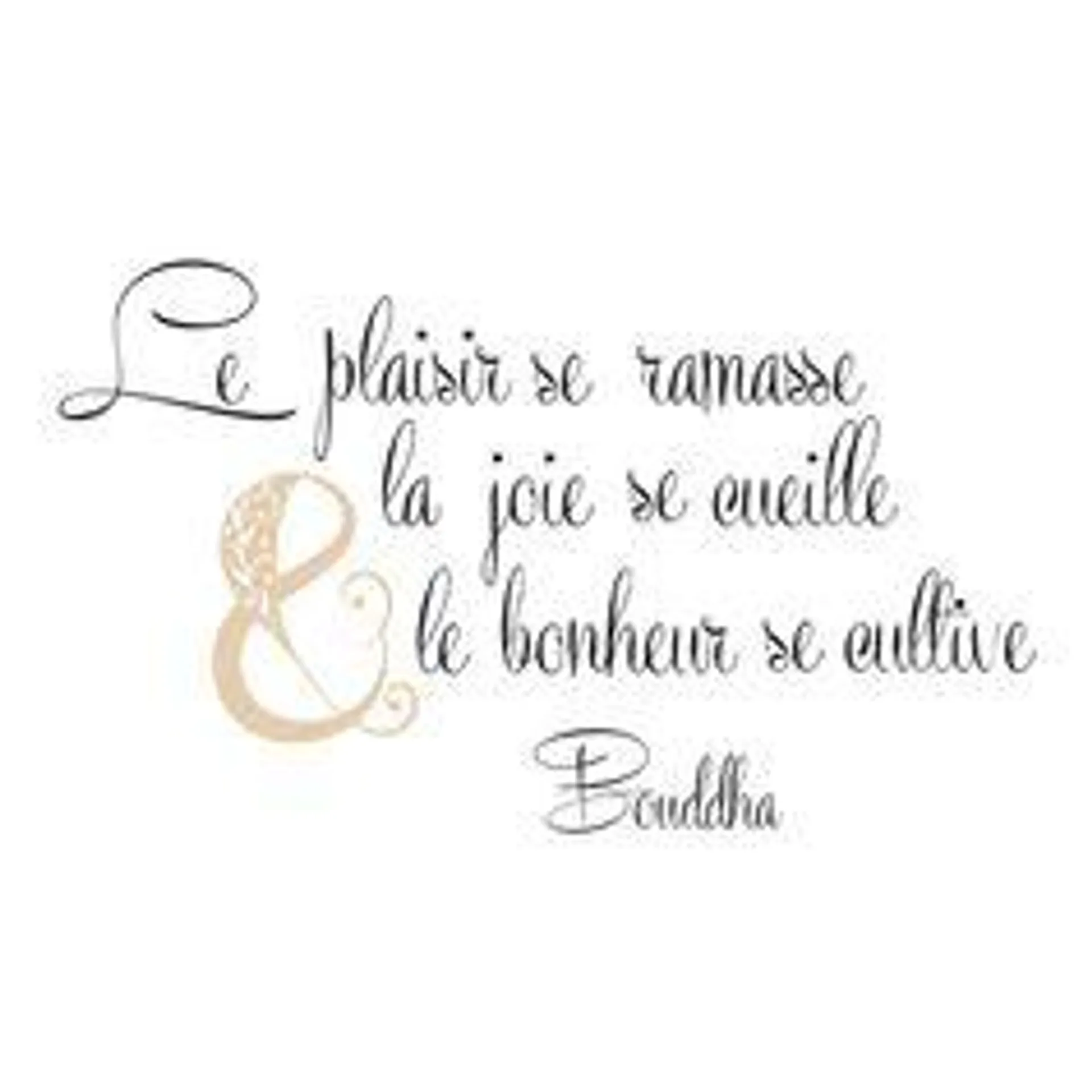 Sticker mural citation Bouddha le plaisir 70x20cm