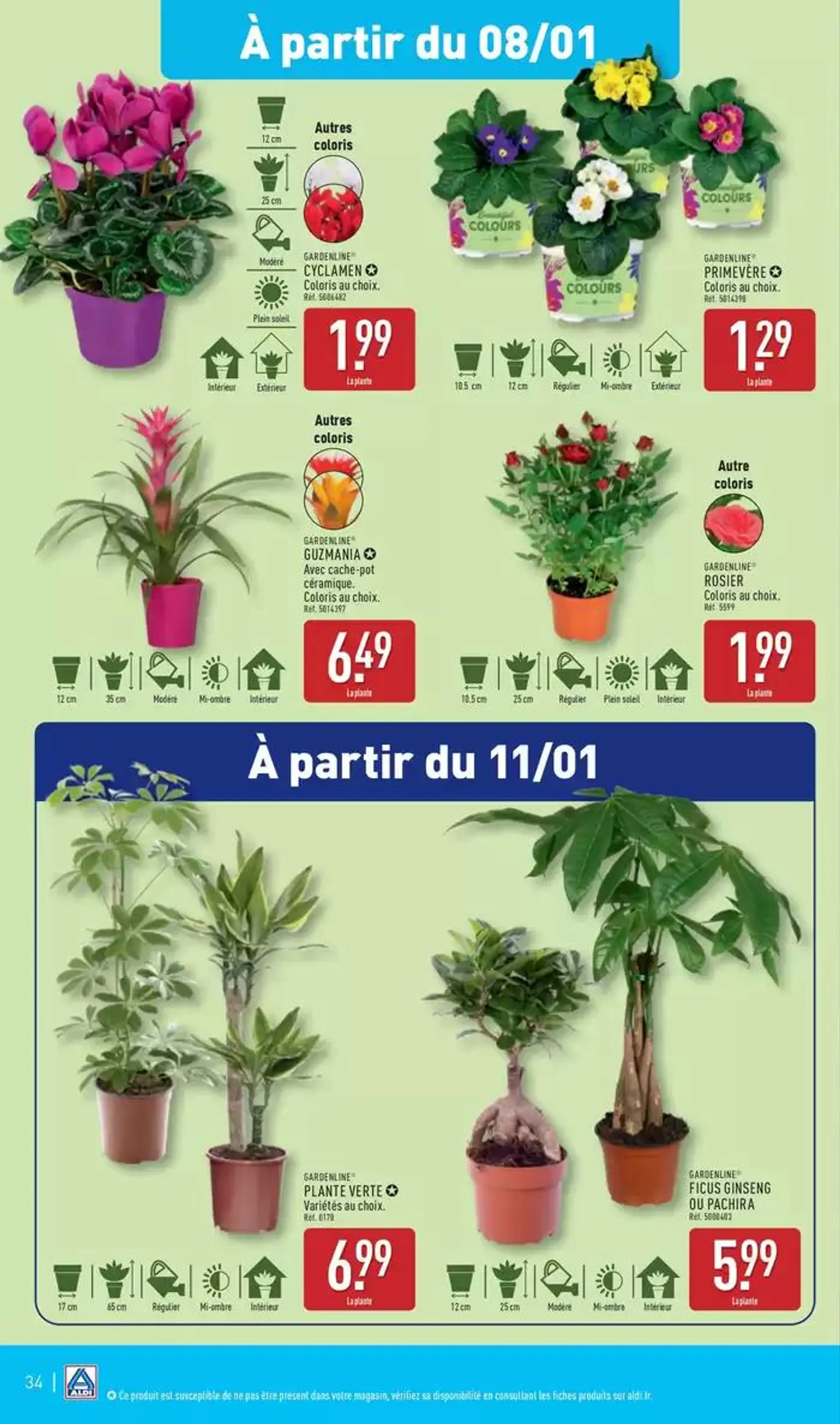 Retrouvez nos bons plans du 7 janvier au 13 janvier 2025 - Catalogue page 37