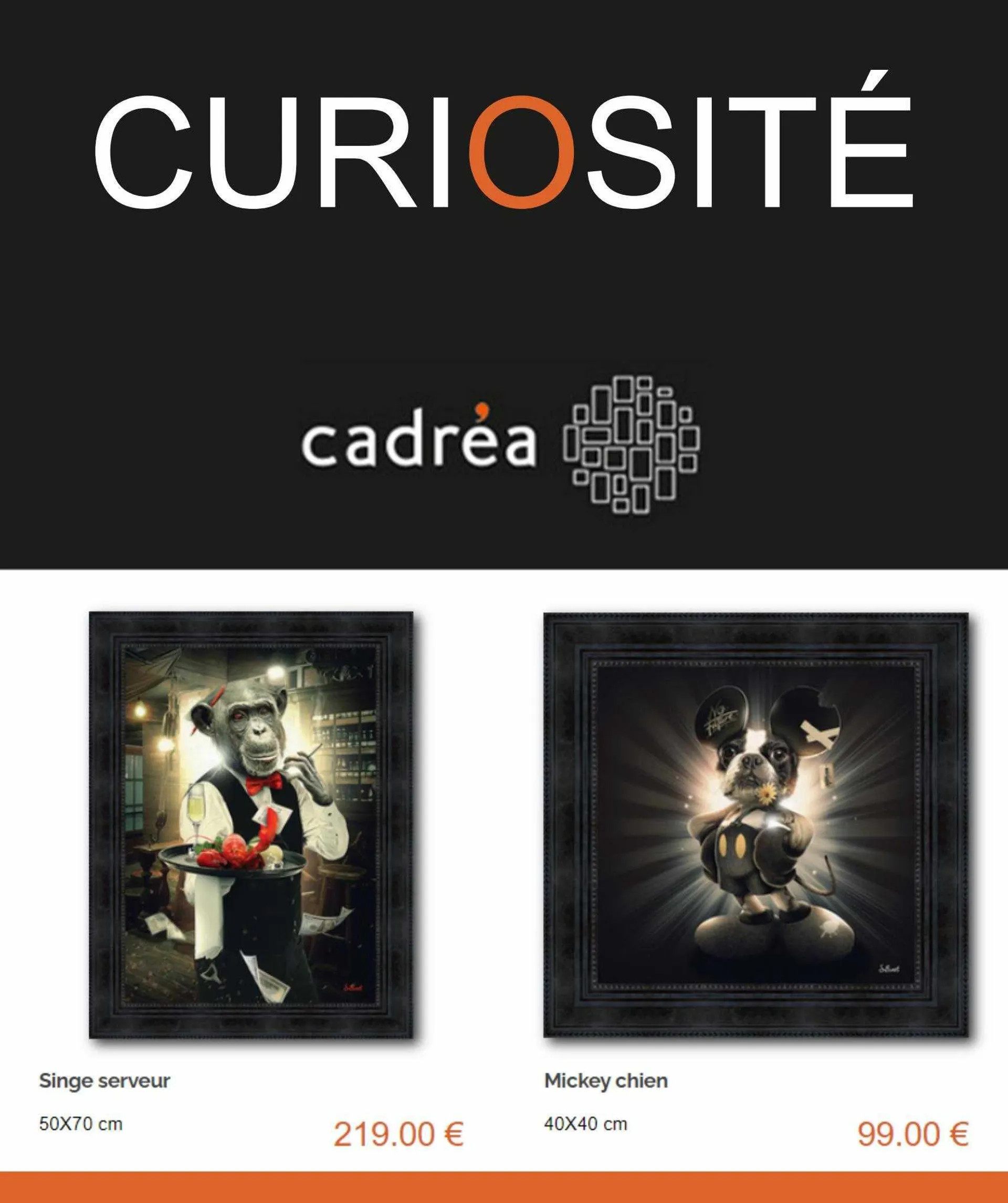Catalogue Cadréa - 1