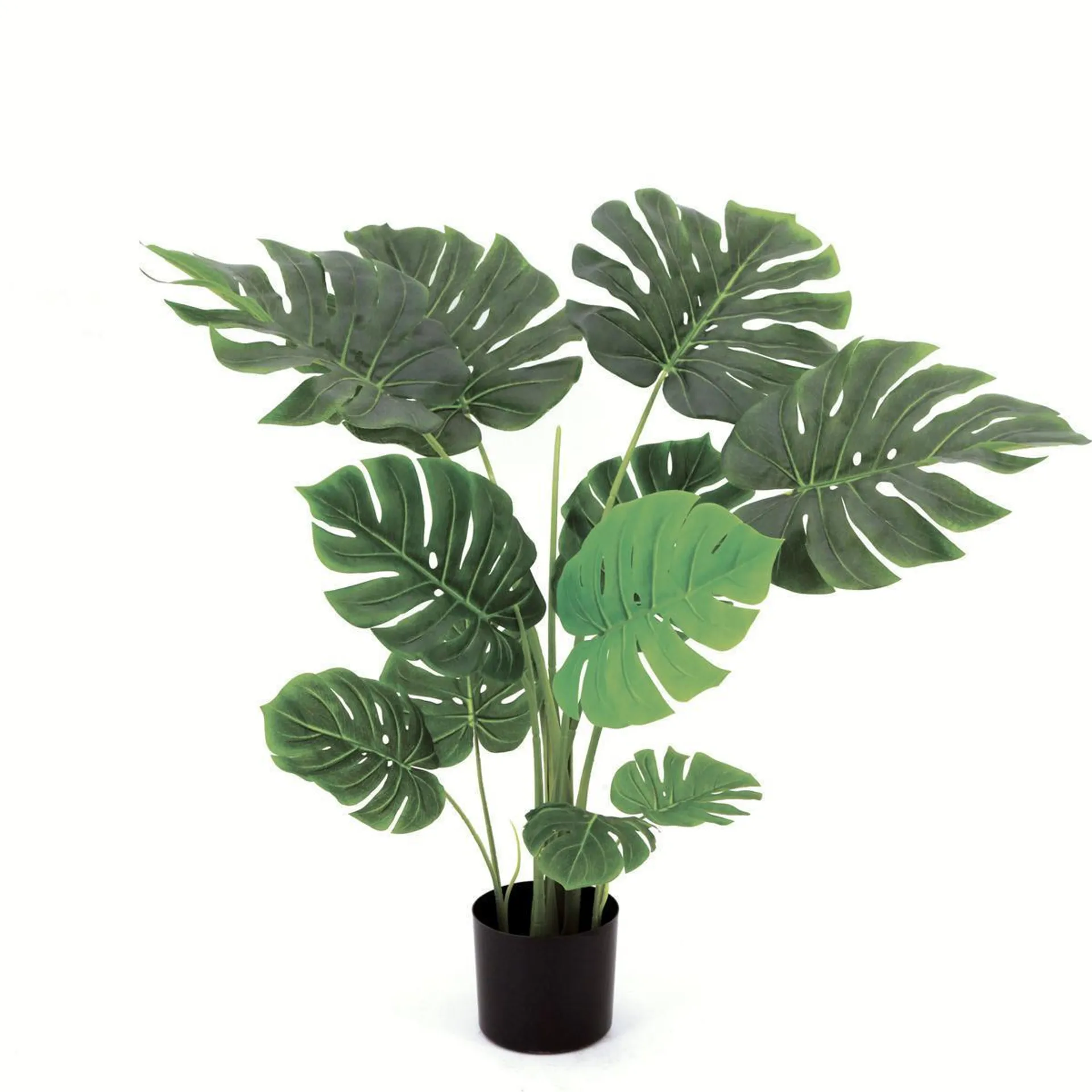 Monstera - H 112 cm