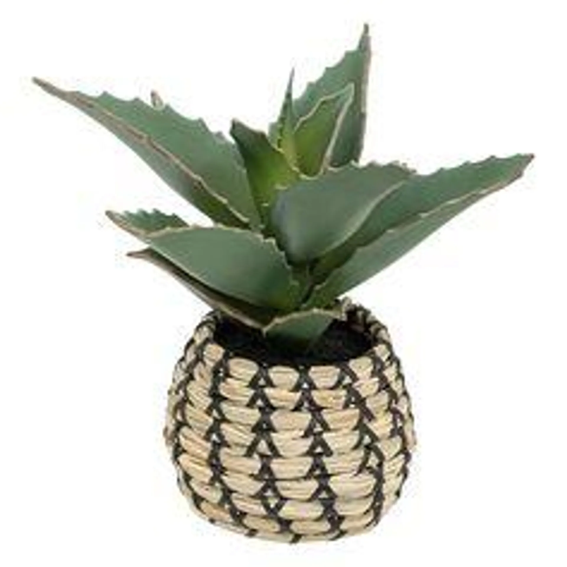 Plante samouraï artificielle pot naturelle H 26cm