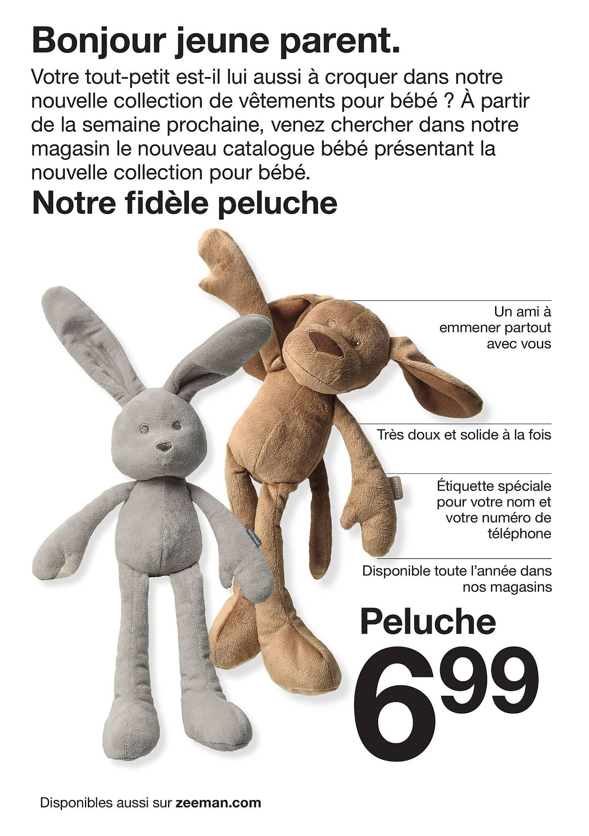 Catalogue Zeeman - 2