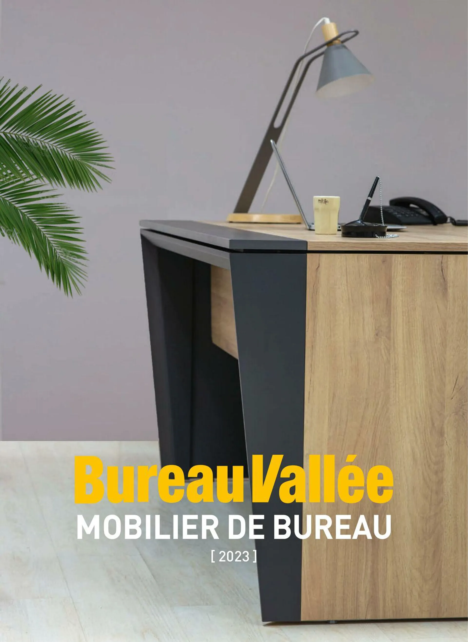 Bureau Vallée - 1