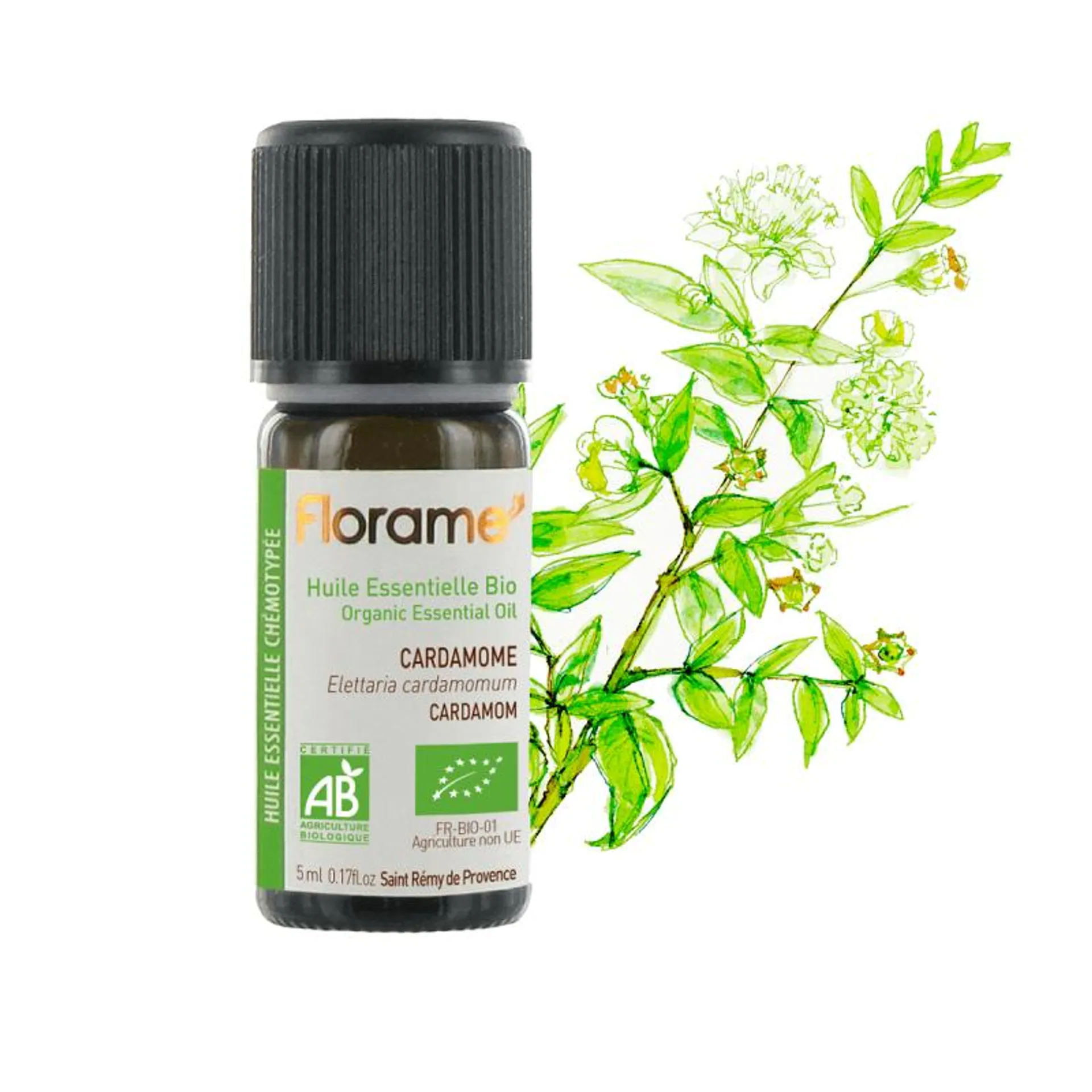 Huile Essentielle de Cardamome Biologique