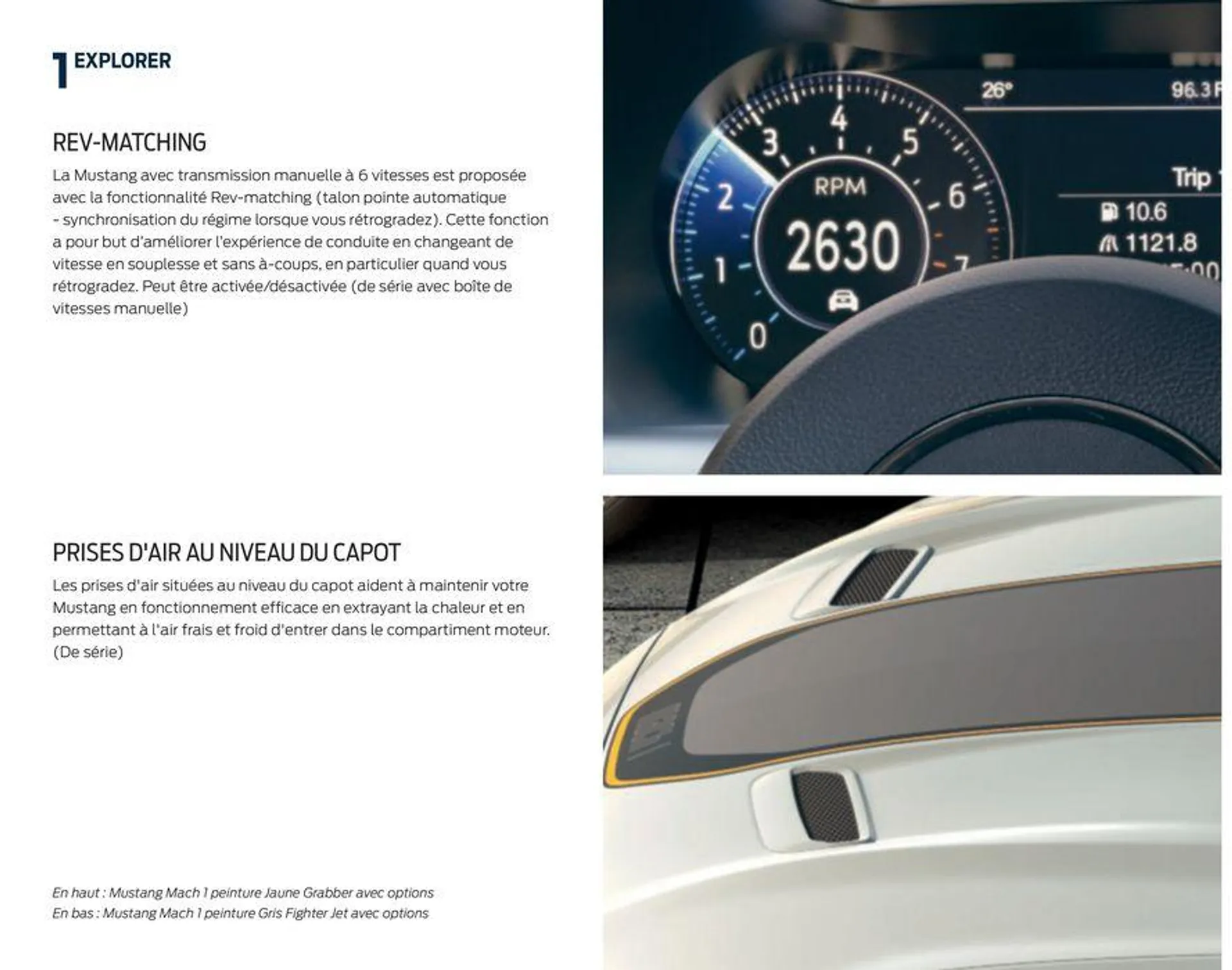 MUSTANG du 12 septembre au 12 septembre 2024 - Catalogue page 22