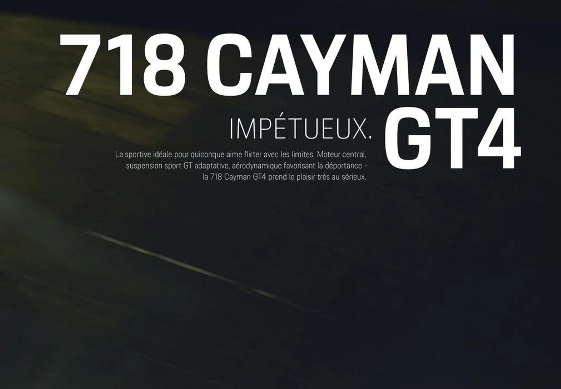 Modèles Porsche du 12 décembre au 31 décembre 2024 - Catalogue page 17